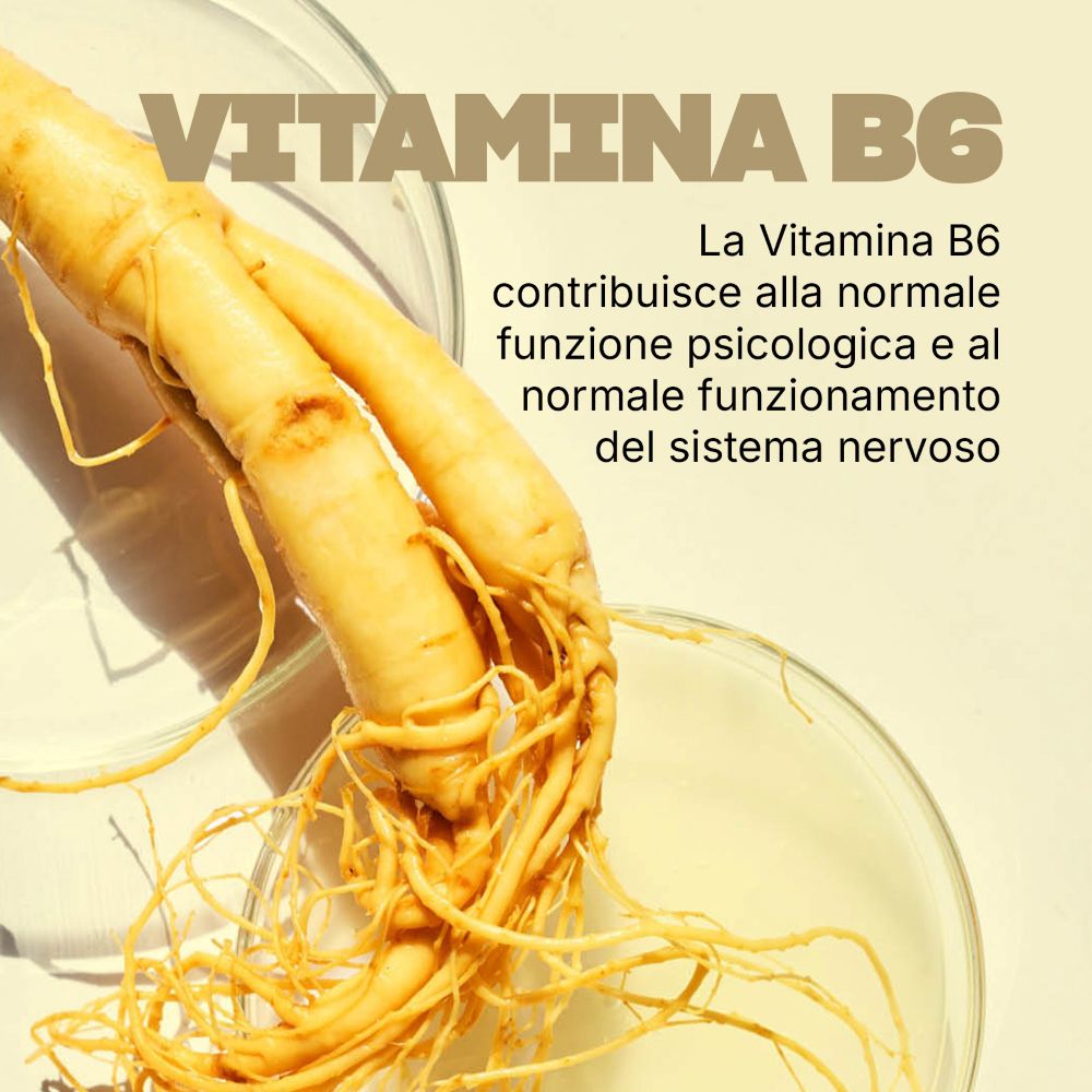 Radice di ginseng, fonte di Vitamina B6, per la normale funzione psicologica e del sistema nervoso.