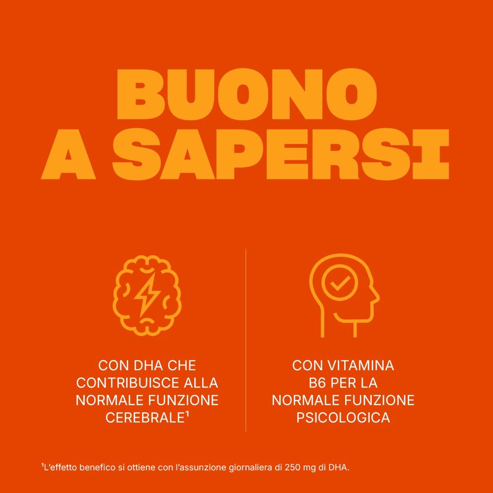 Riepilogo dei benefici: DHA per la funzione cerebrale, Vitamina B6 per la funzione psicologica.