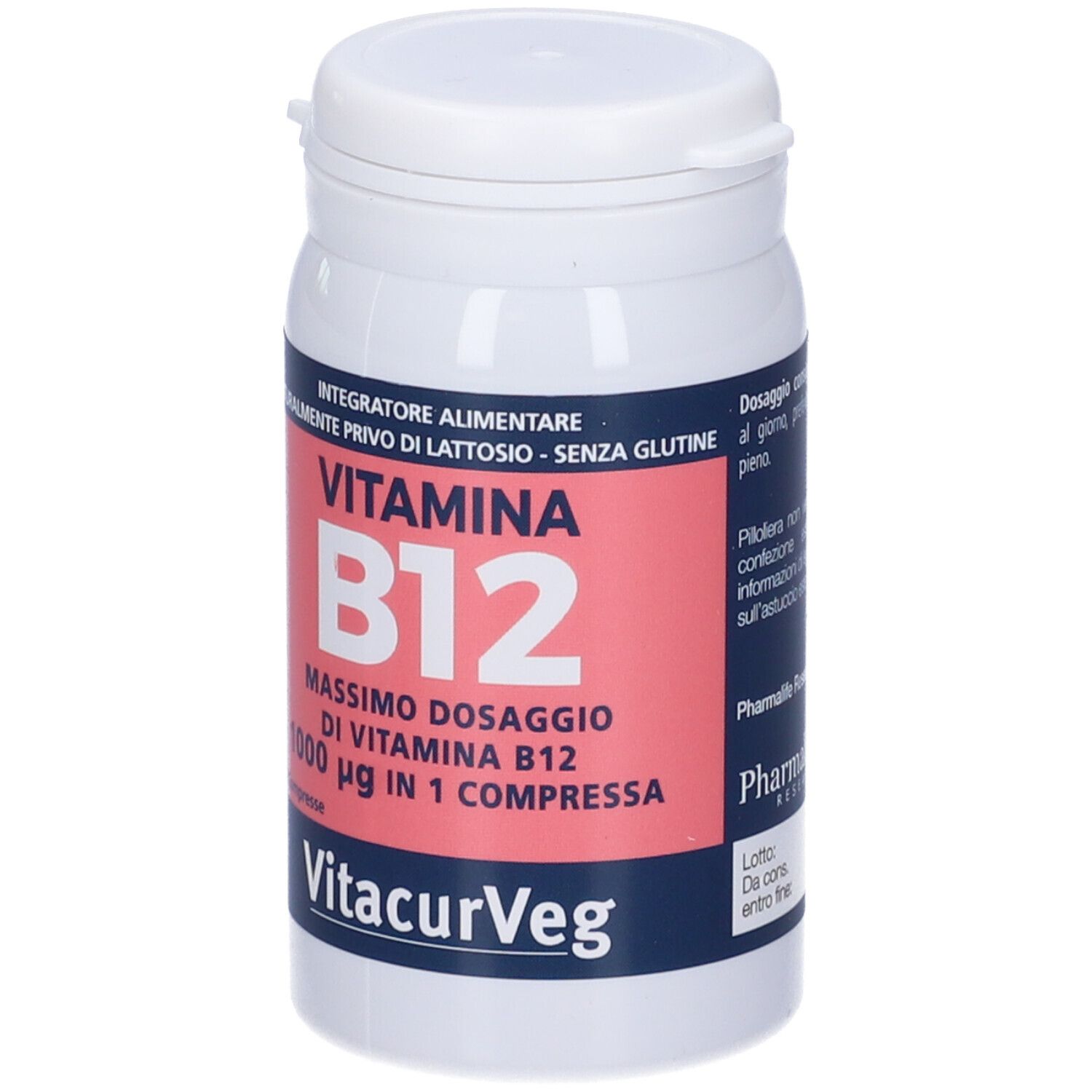 VITAMINA B12 100CPR VITACURVEG