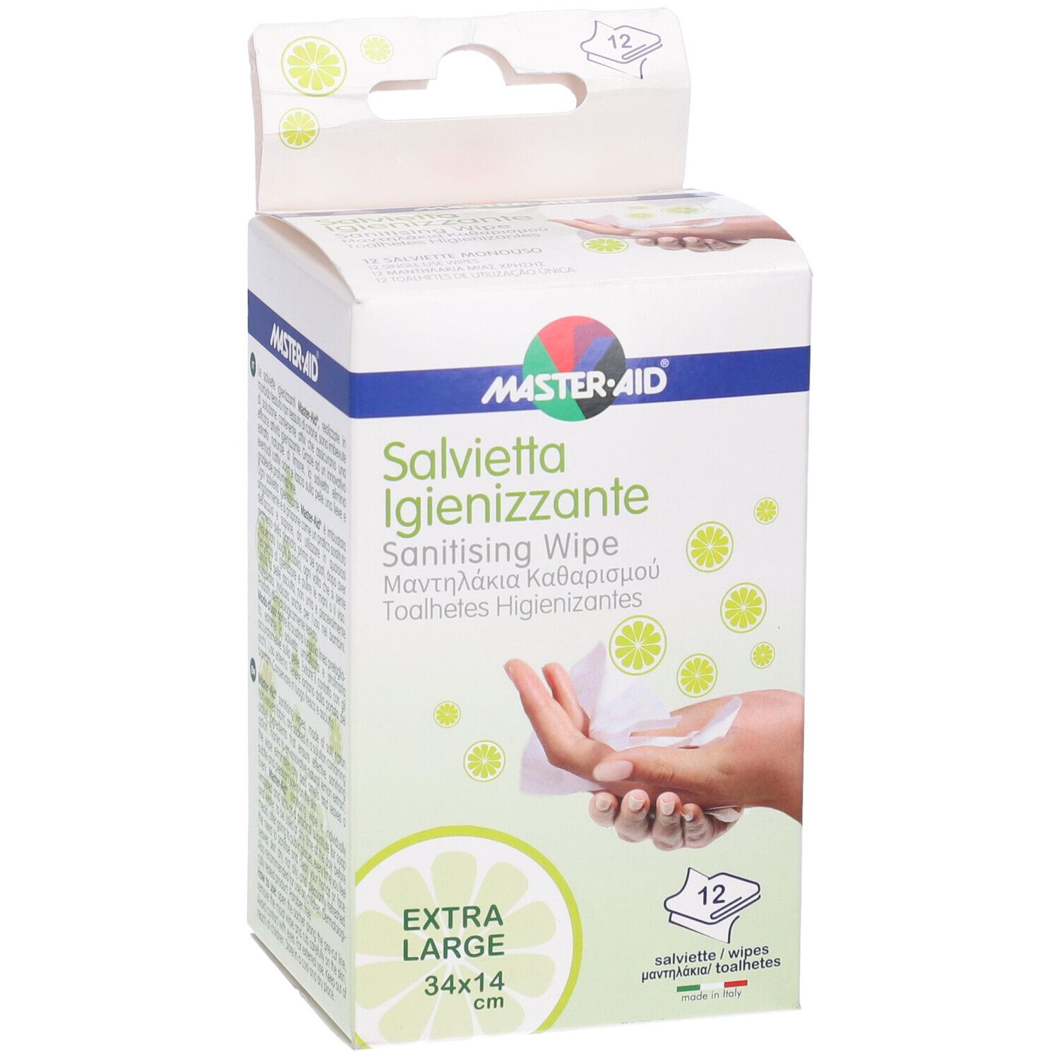 Master-Aid Savietta Impregnata Di Soluzione Igienizzante Xl 12 Pezzi