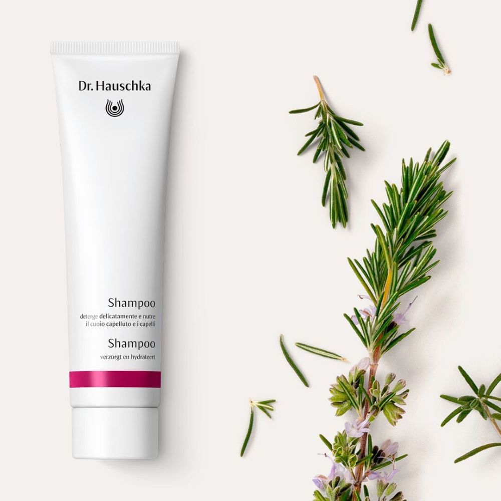 Tubo bianco con logo Dr. Hauschka e scritta Shampoo. Rami di rosmarino accanto.