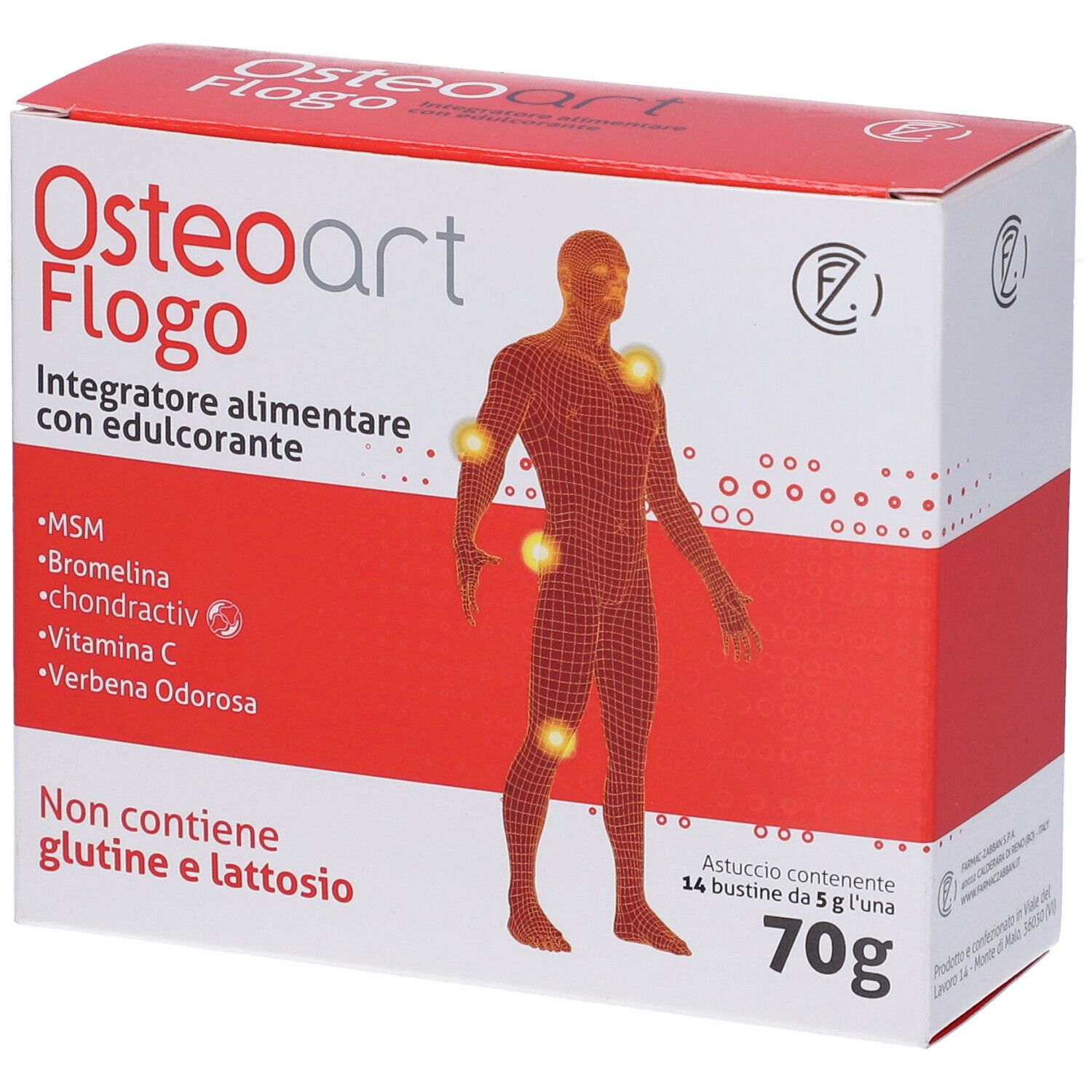 Osteoart Flogo 14Bust