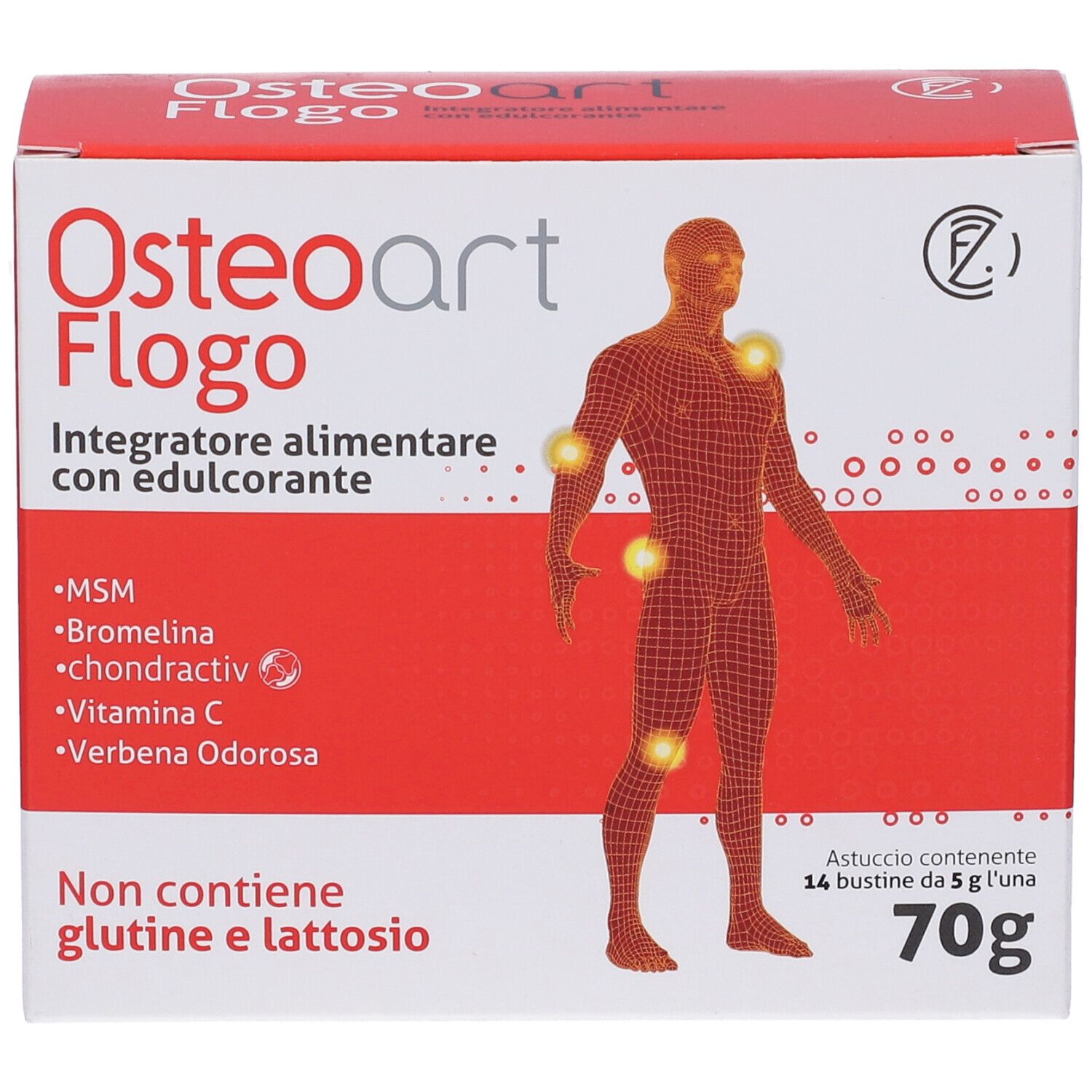 Osteoart Flogo 14Bust