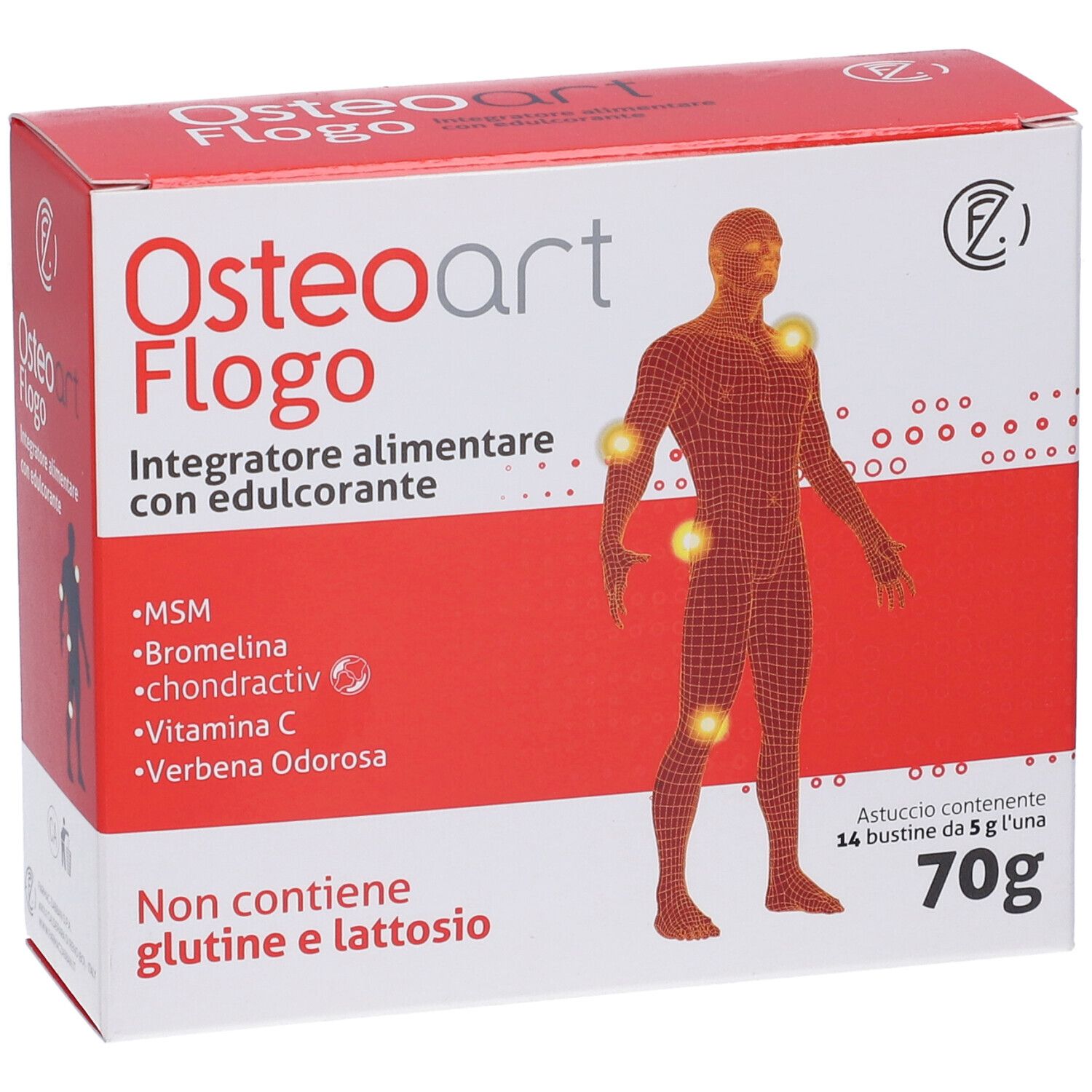 Osteoart Flogo 14Bust