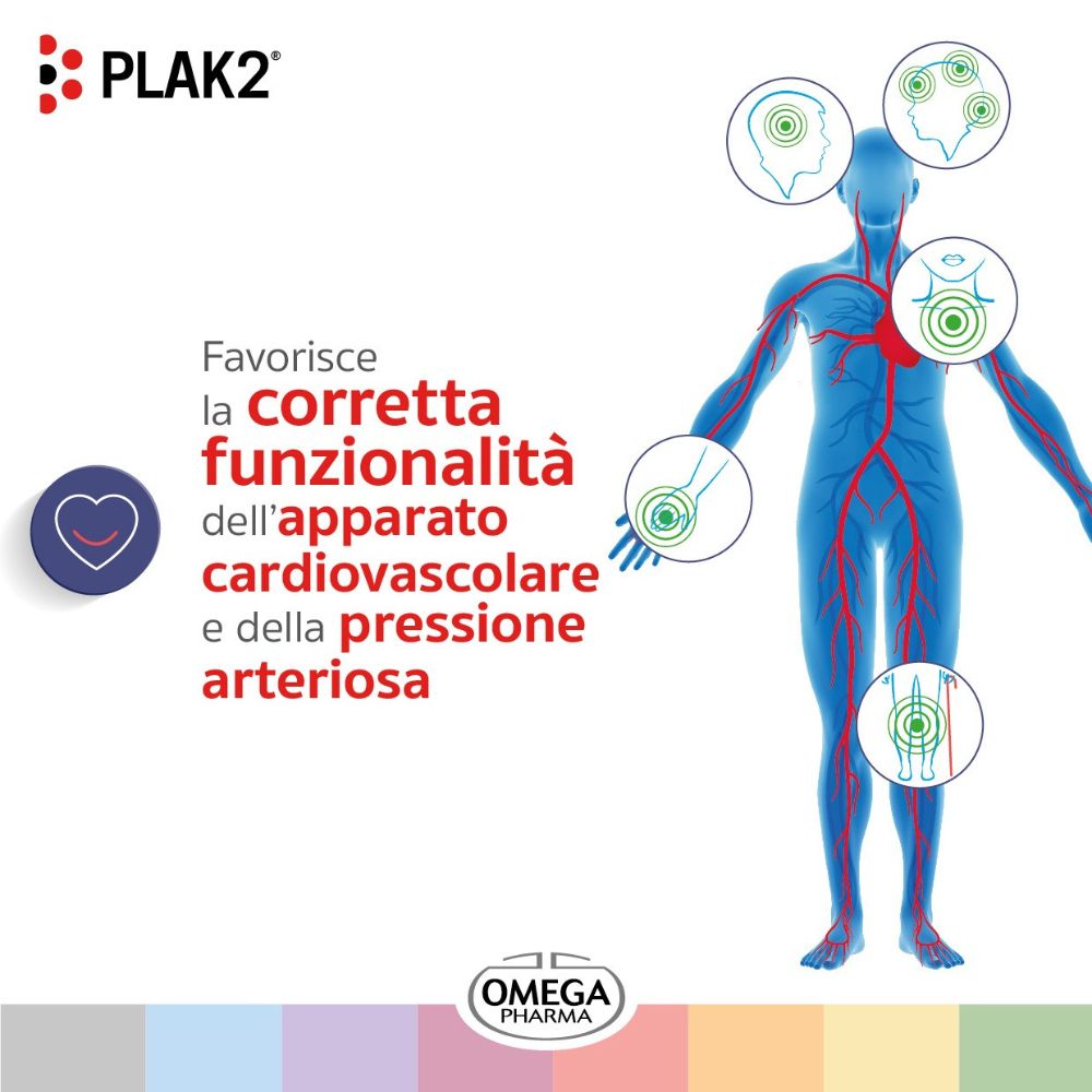 Grafico di un corpo umano con cerchi. Testo: Favorisce la corretta funzionalità dell'apparato cardiovascolare.