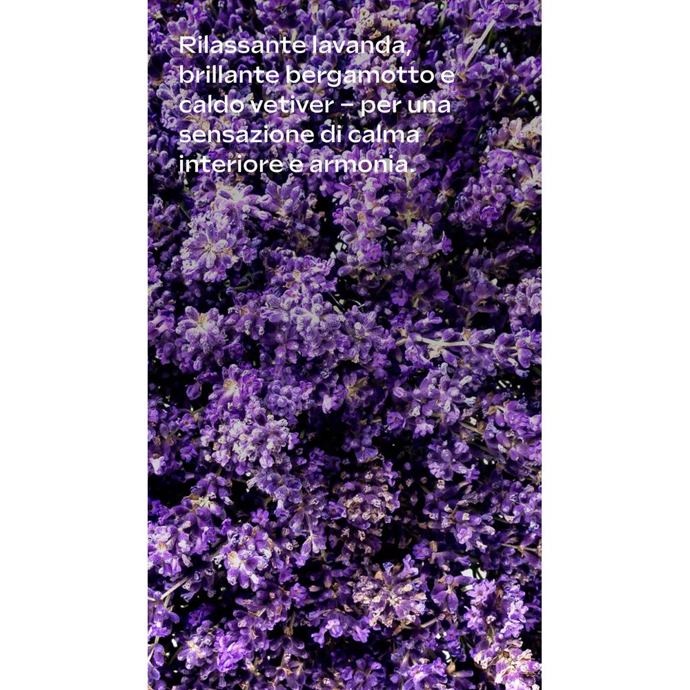 Primo piano di fiori di lavanda viola. Testo in italiano su relax e armonia.