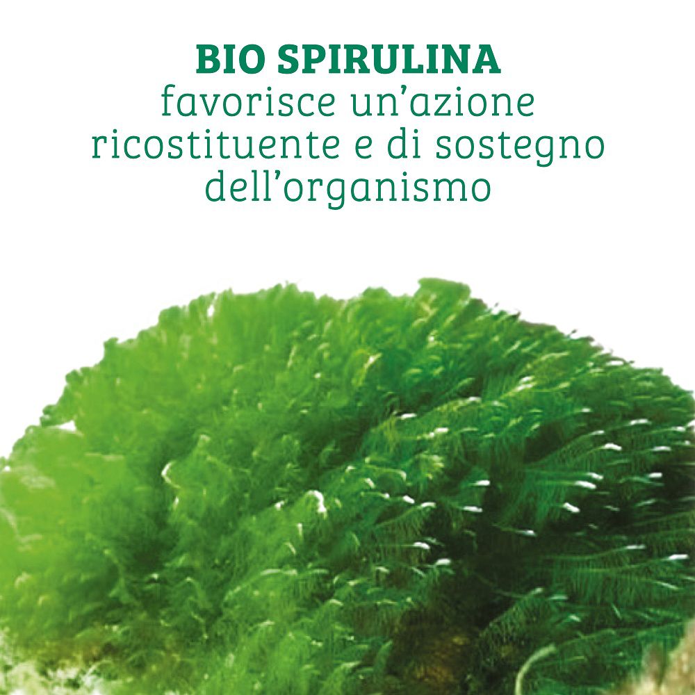 Primo piano di alghe spirulina, l'ingrediente principale dell'integratore alimentare.