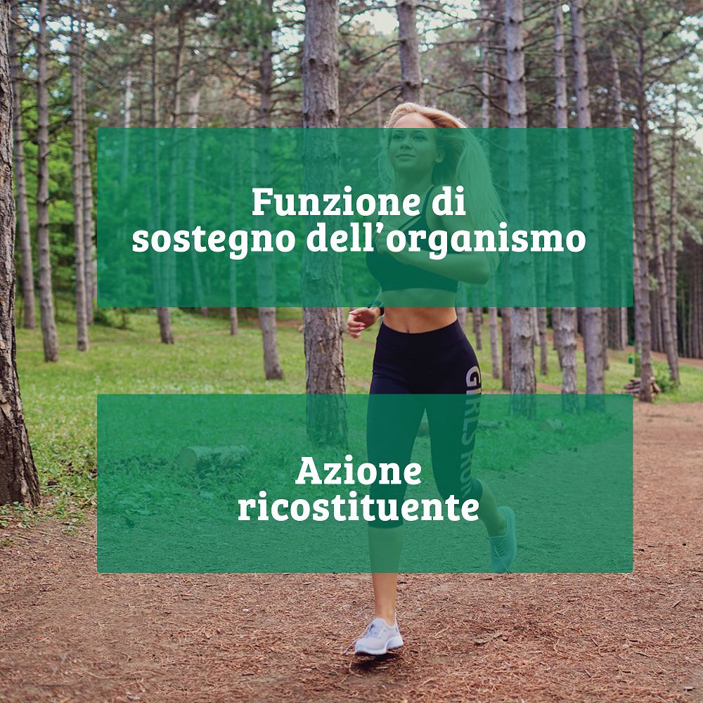 Podista nel bosco che simboleggia l'azione di sostegno e ricostituente della Bio Spirulina.