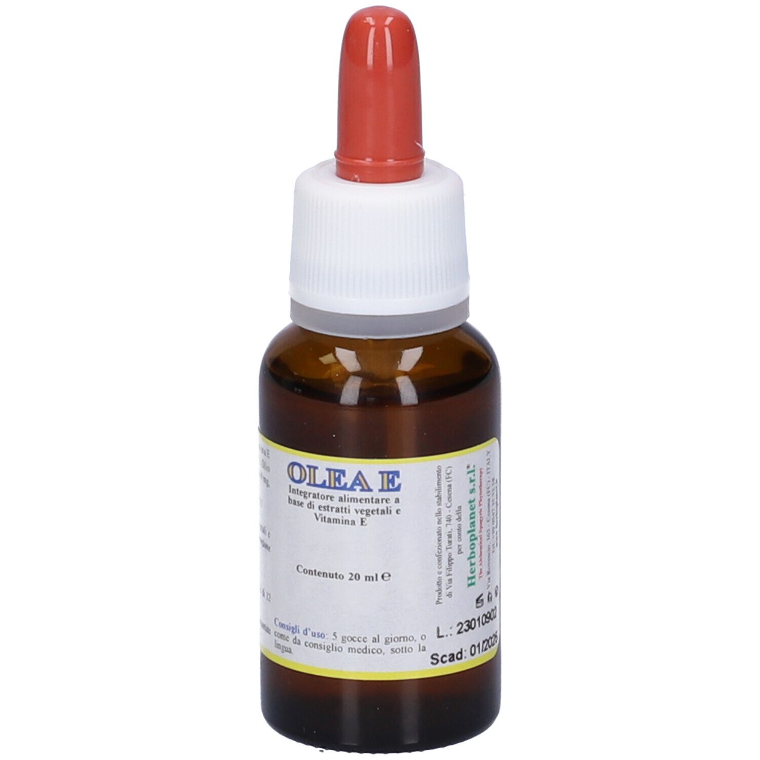 Olea E