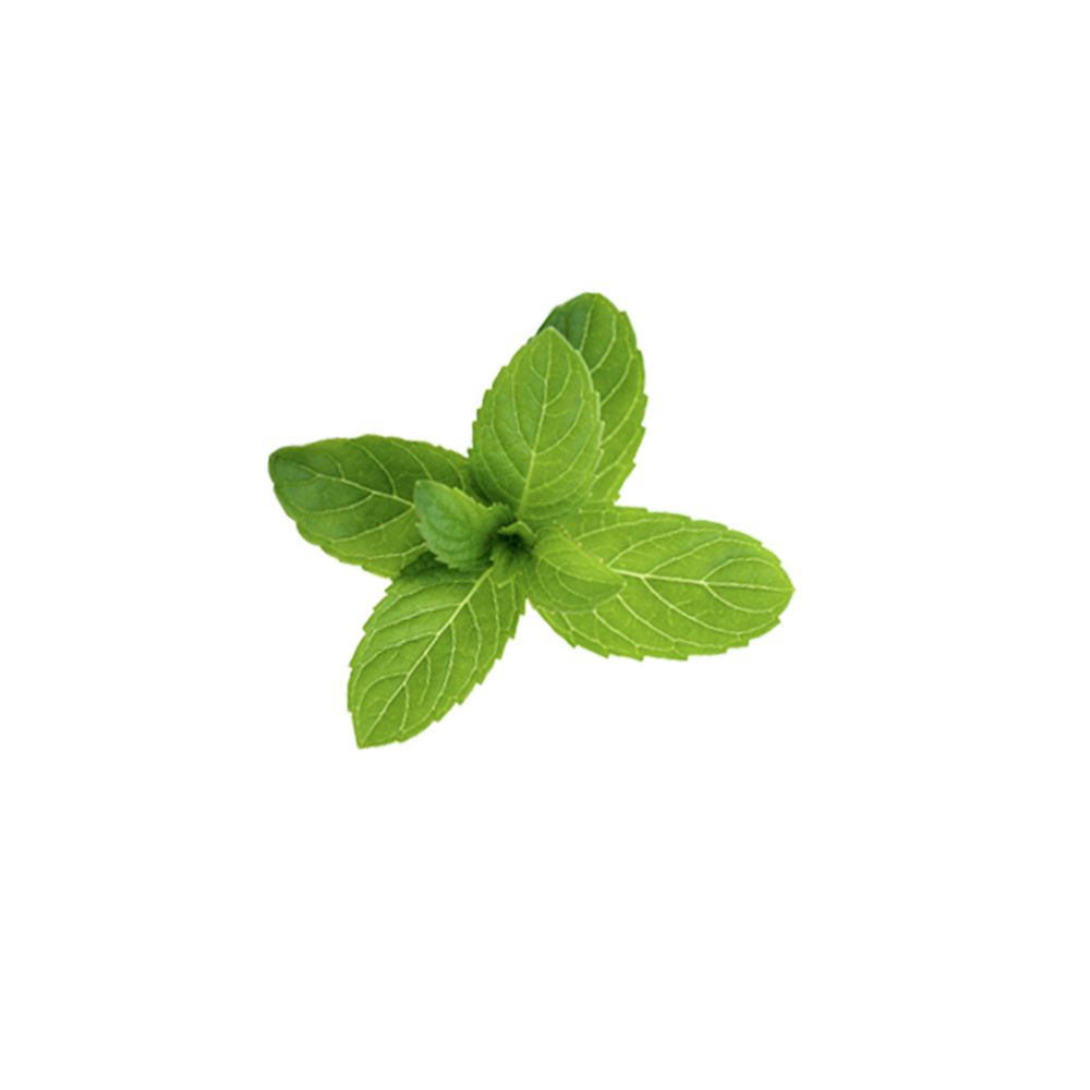 Klorane Maschera Stick alla Menta BIO e all'Argilla 25g - Opaccizza pelle grassa