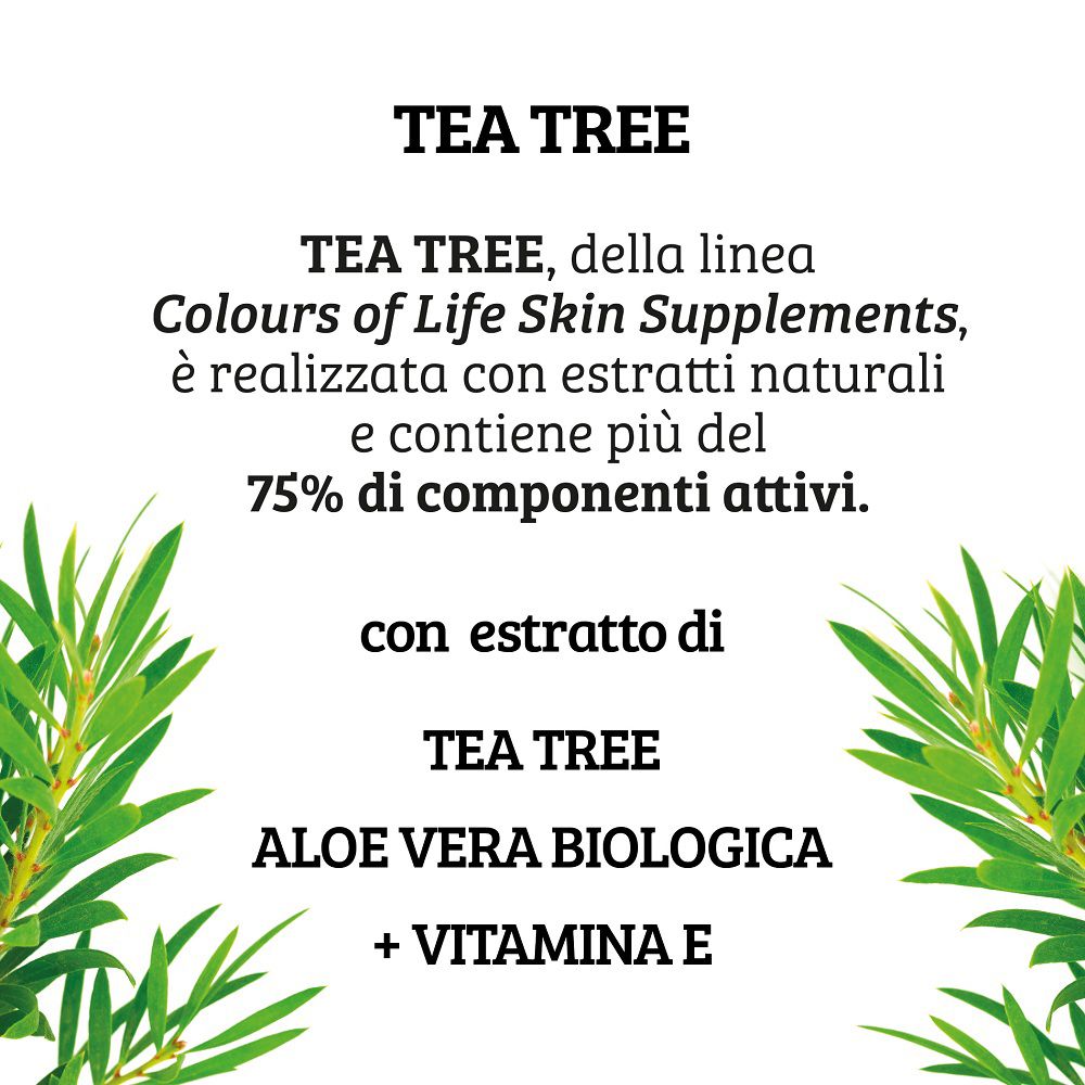Colours of Life Kreme TEA TREE: testo su ingredienti e rametti di tea tree.