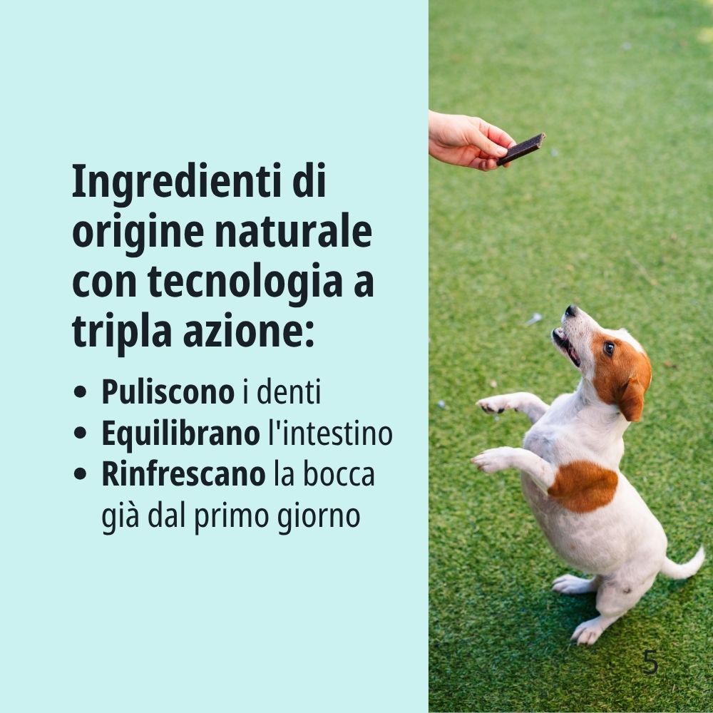 Cane che afferra uno snack. Testo: Ingredienti naturali con tripla azione: puliscono i denti, equilibrano l'intestino, rinfrescano la bocca.