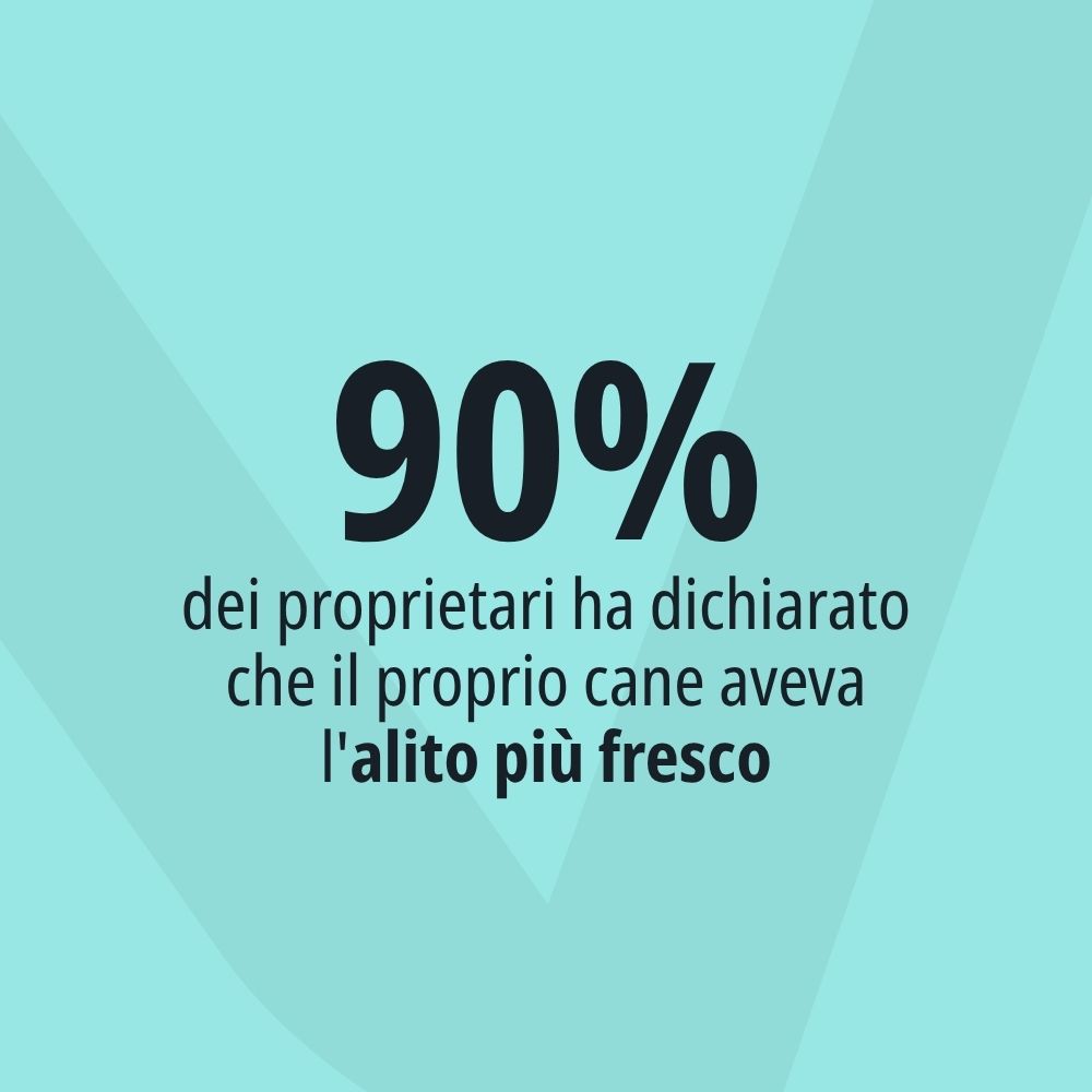 Testo: Il 90% dei proprietari ha dichiarato che l'alito del proprio cane aveva l'alito più fresco.