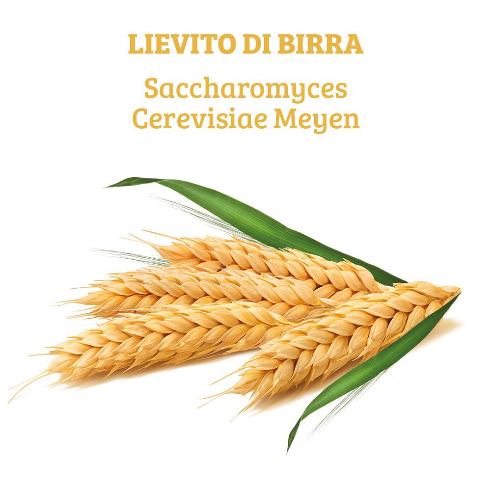 Tre spighe con foglie, simbolo del lievito di birra.