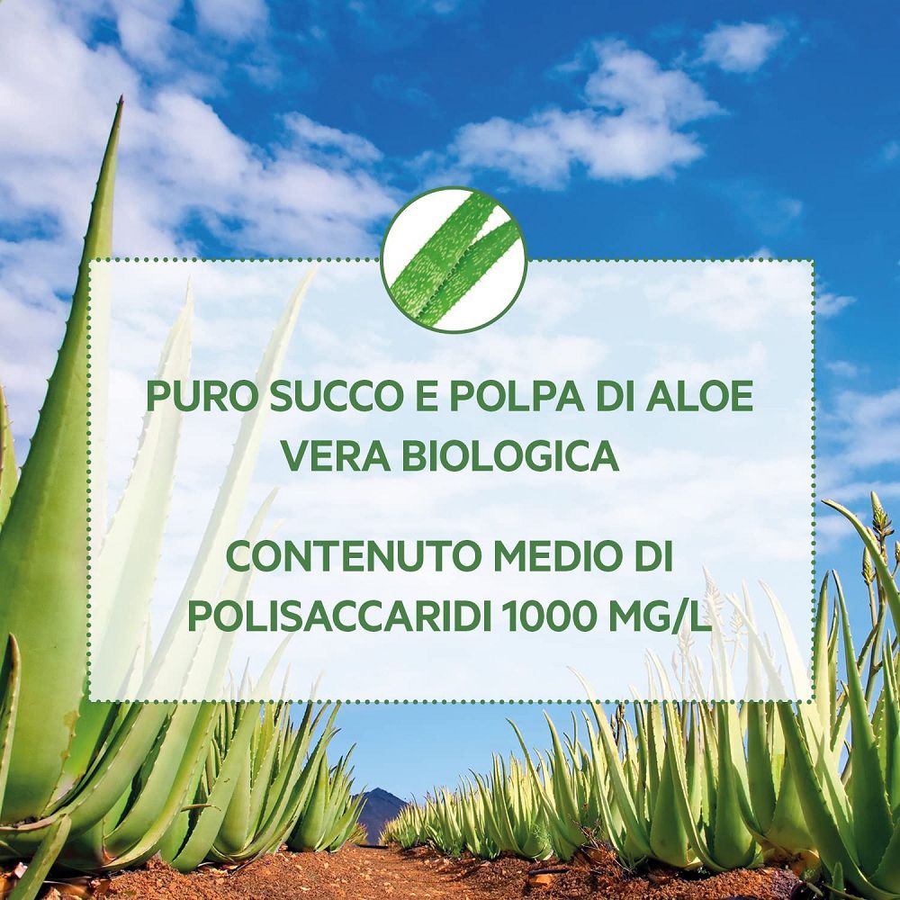 Succo e polpa di Aloe Vera biologica, 1000 mg/L di polisaccaridi.