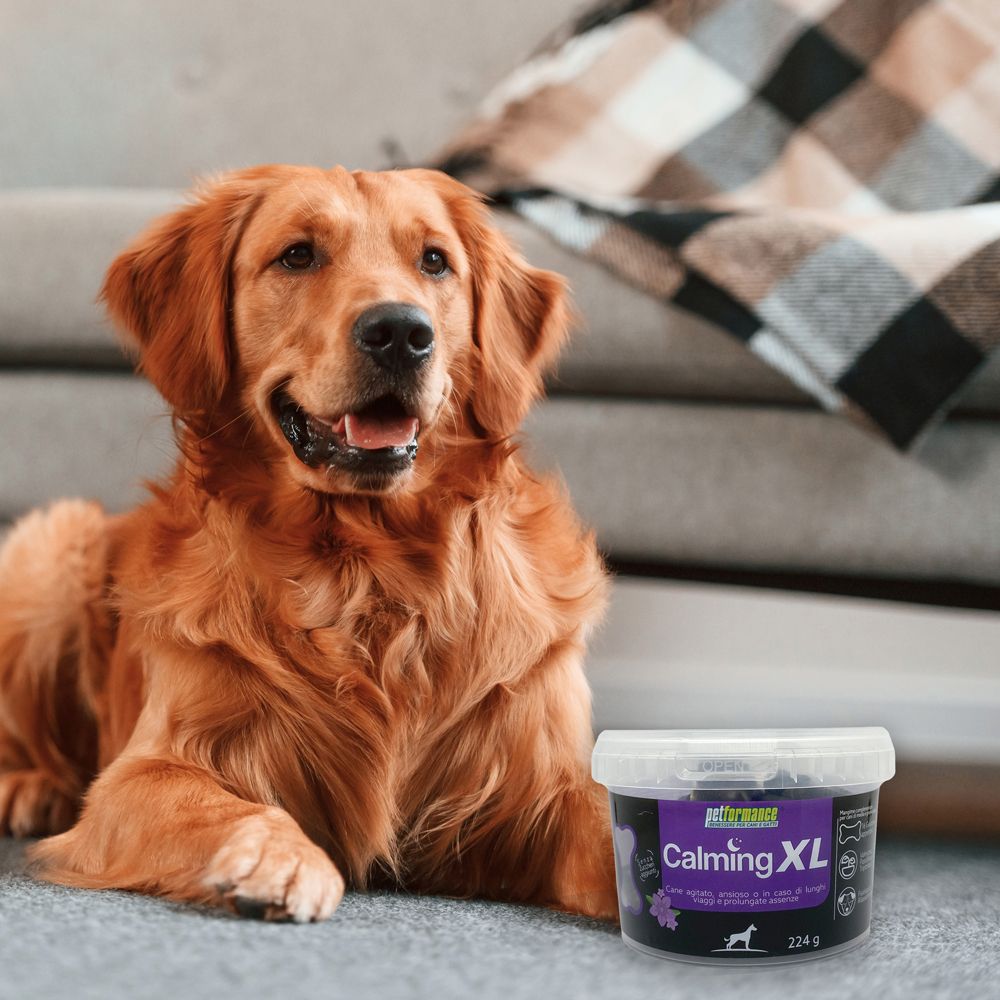 Cane accanto al barattolo Calming XL. Prodotto con etichetta viola, nome, silhouette cane e 224g.