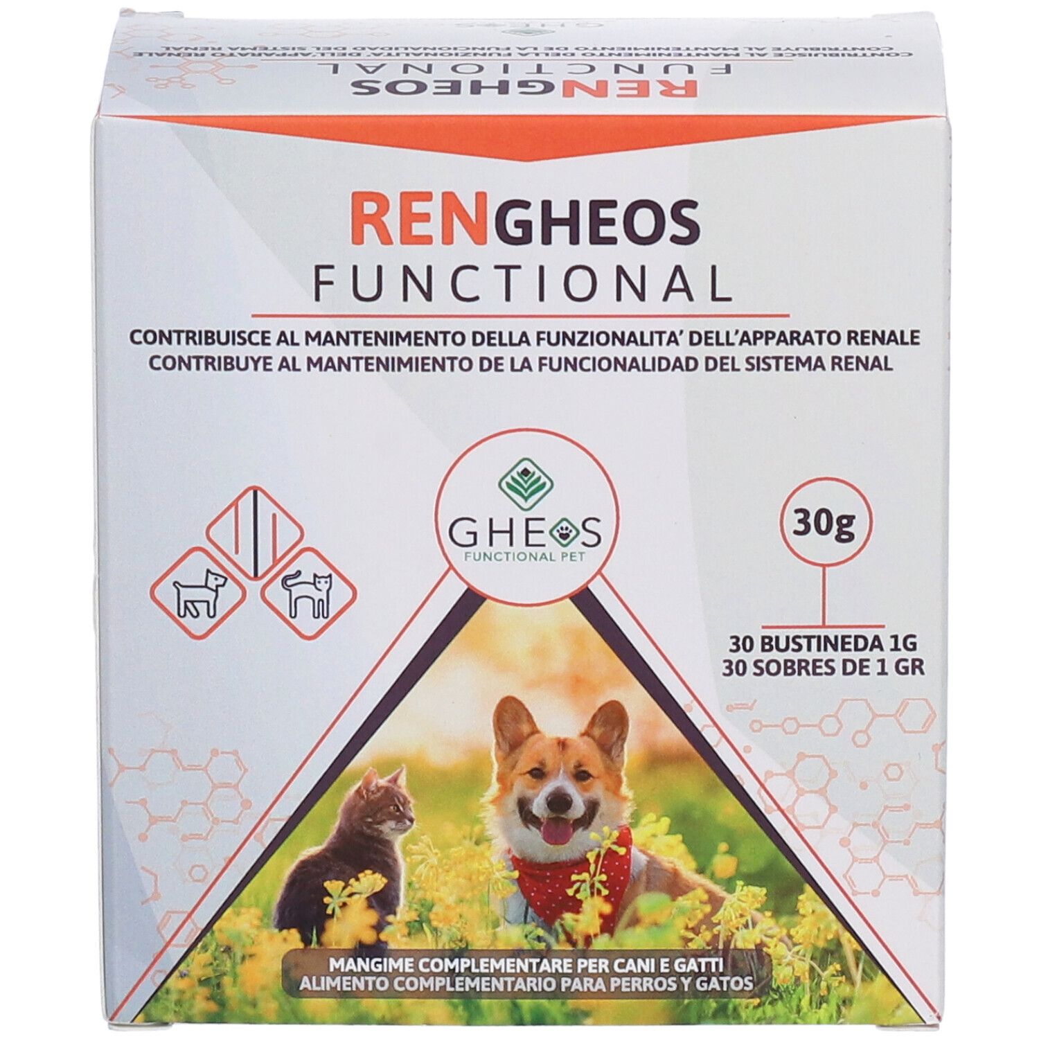 Ren Gheos Functional 30 Bustine
