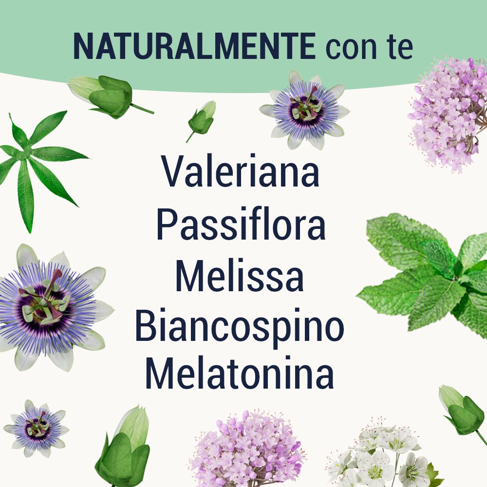 Ingredienti Sedatol Notte: Valeriana, Passiflora, Melissa, Biancospino, Melatonina.