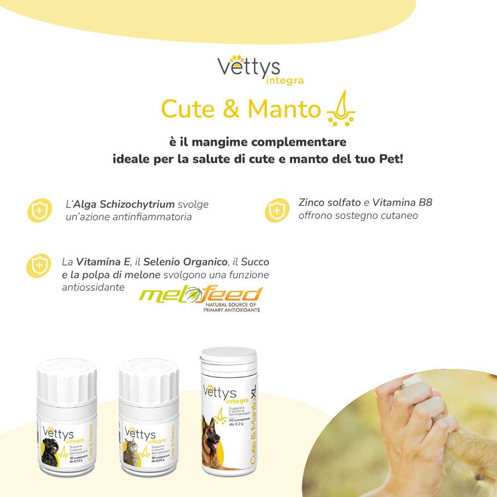 Vettys Integra Cute & Manto Cane