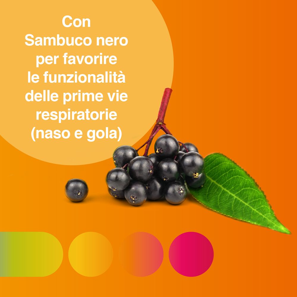 Bacche di sambuco, foglia e sfumatura di colore. Testo: Con sambuco nero per favorire le funzionalità delle prime vie respiratorie.