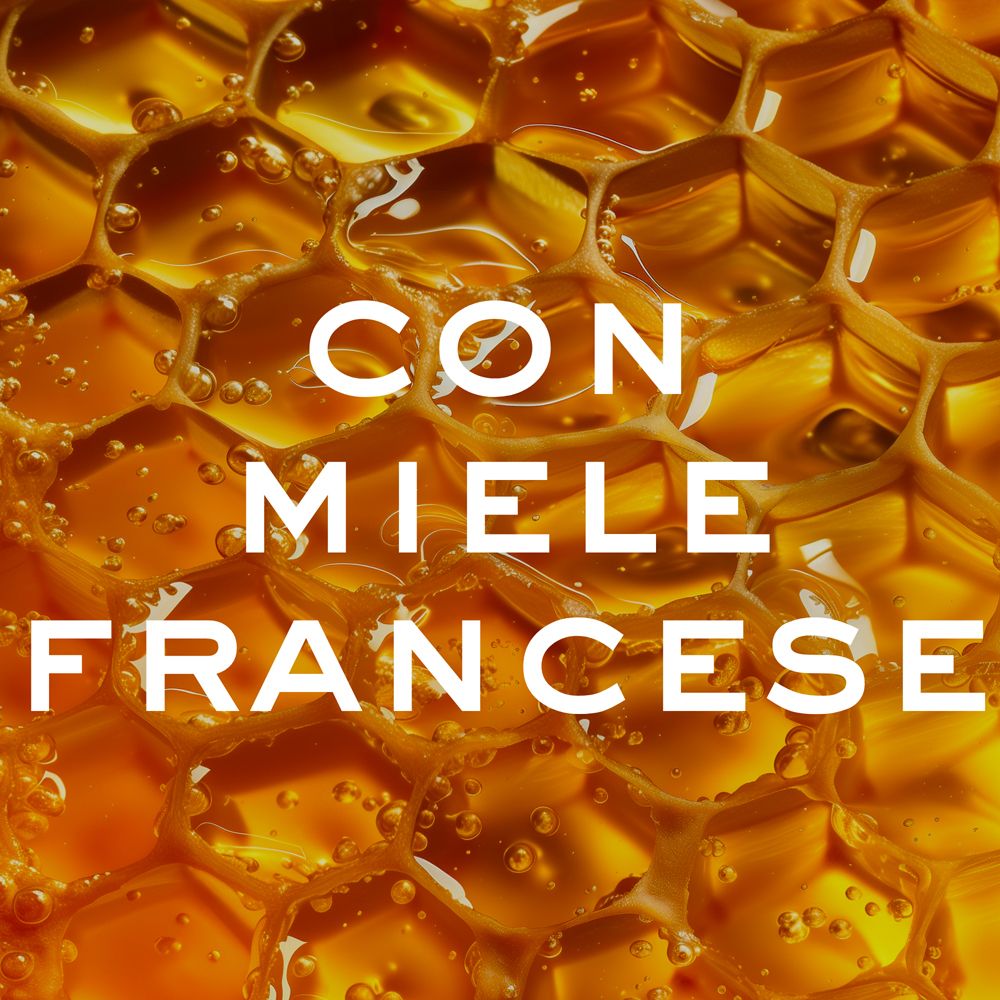 Con miele francese. Primo piano di un favo d'api con miele.