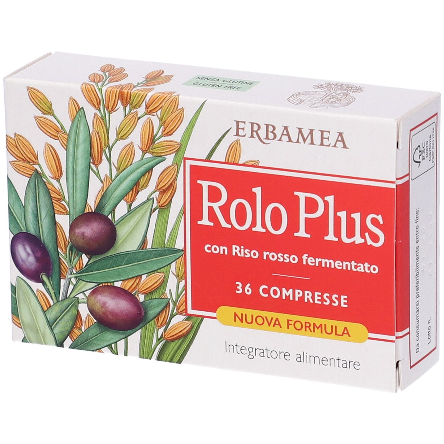 Rolo Plus