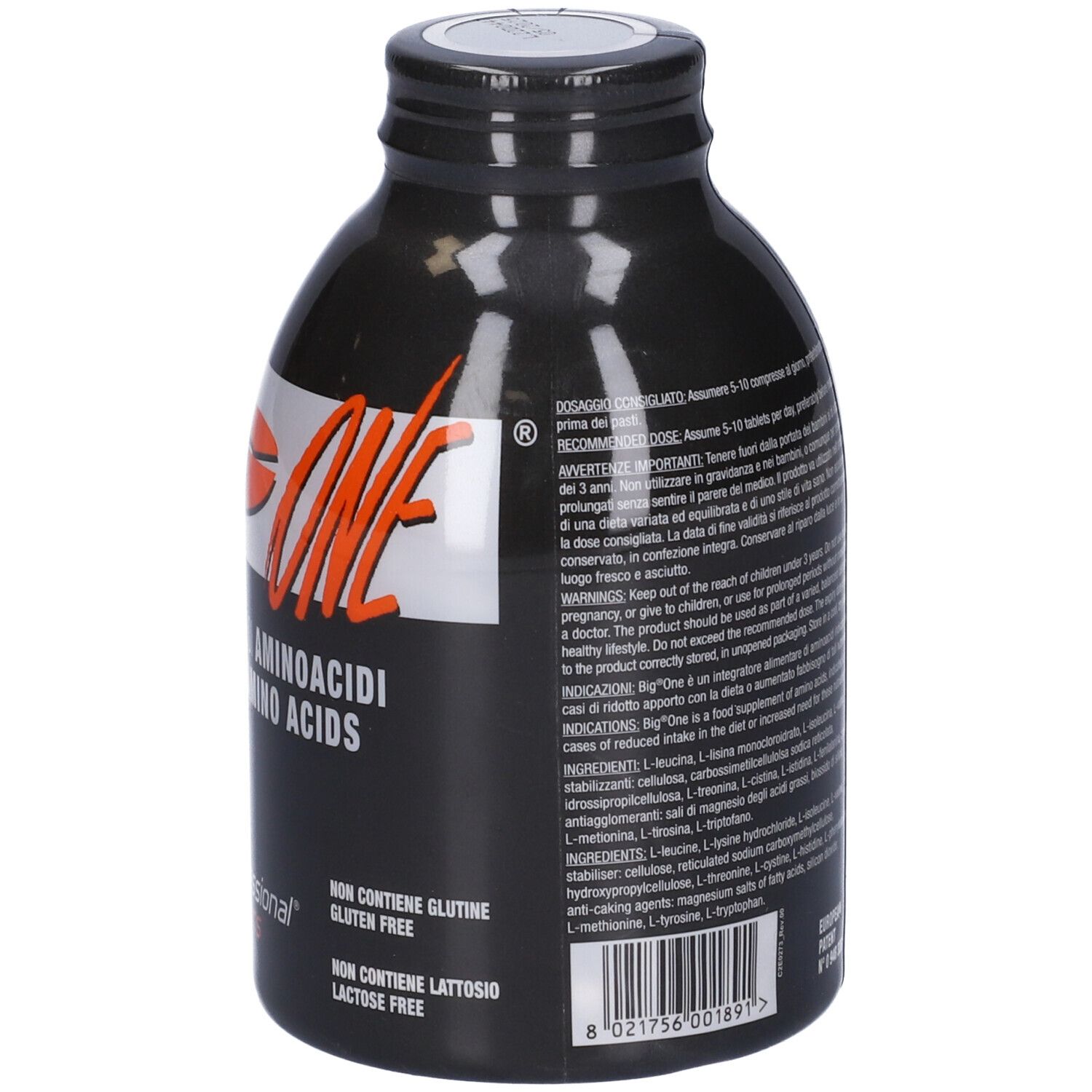 Professional Dietetics Big One