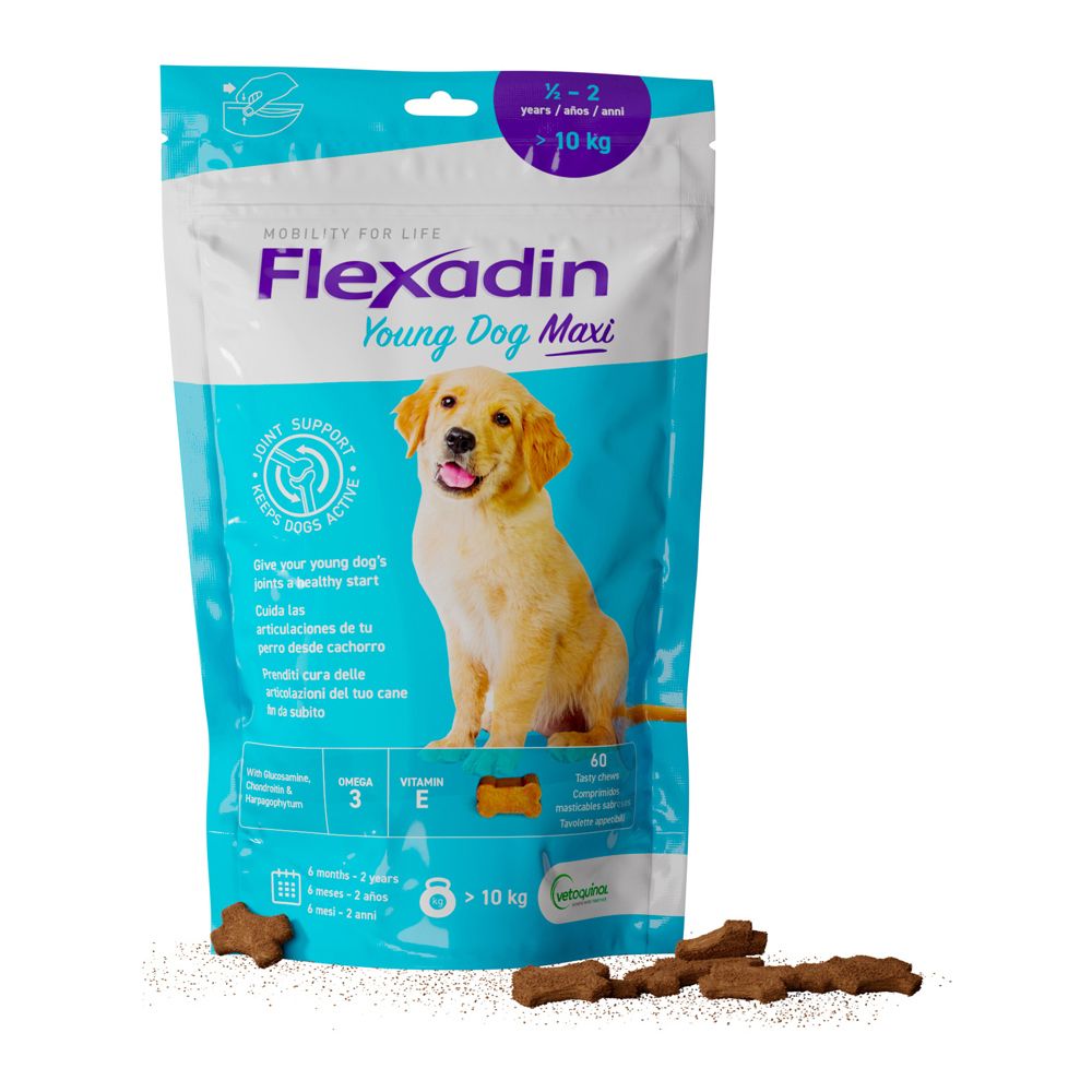 Confezione Flexadin Young Dog Maxi. Contiene compresse masticabili marroni a forma di osso. Scritta: Supporto articolare. Per cani giovani. Contiene Omega 3 e Vitamina E.