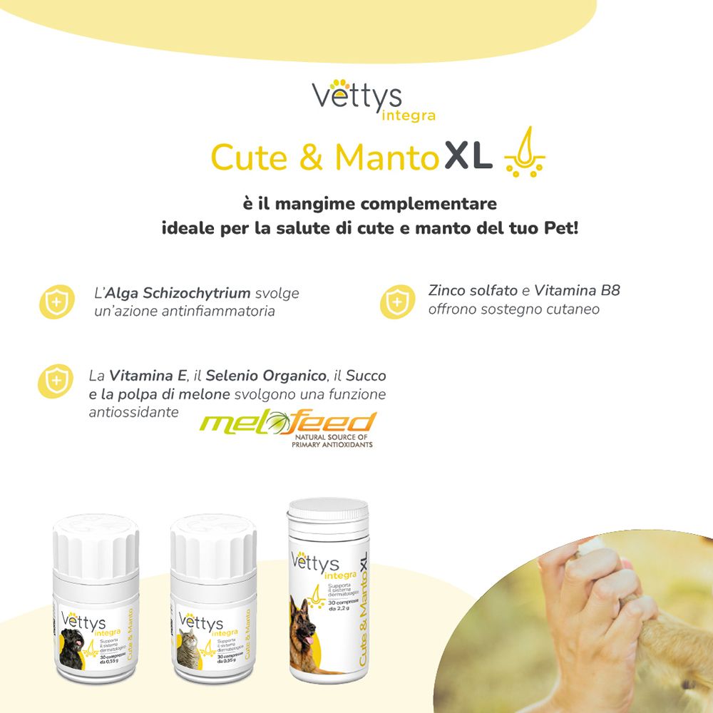 Vettys Integra Cute & Manto XL