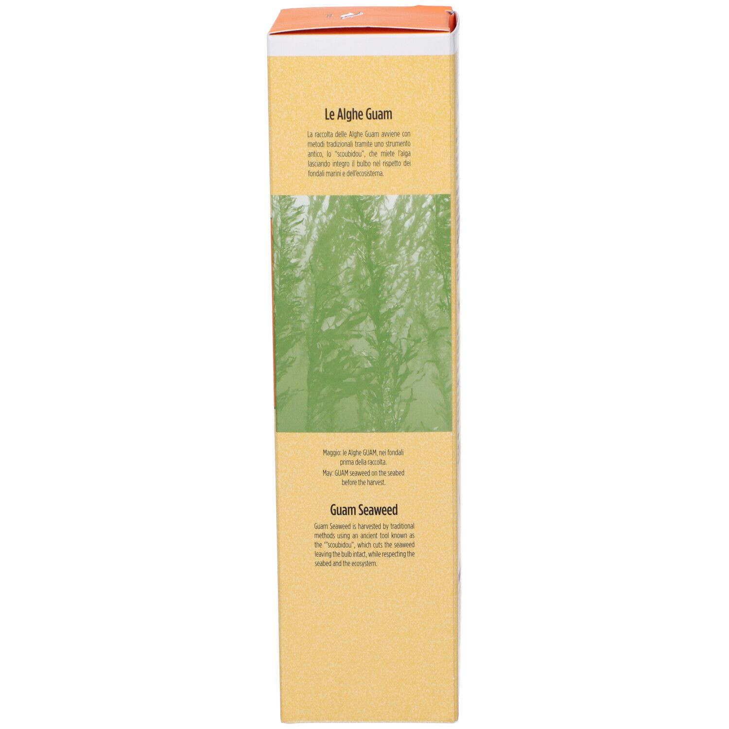 Guam Fanghi d’Alga Formula Gelificata