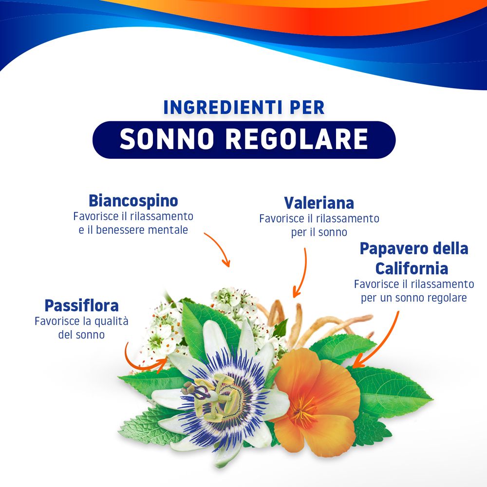 Grafico degli ingredienti per il sonno: Passiflora, Biancospino, Valeriana, Papavero della California. Fiori e foglie.