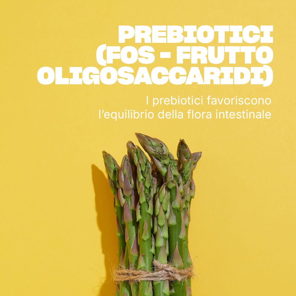 Asparagi e testo sui prebiotici (FOS) per l'equilibrio della flora intestinale.