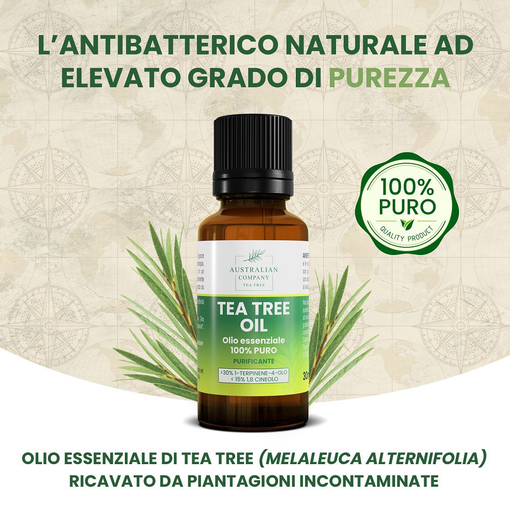 Flacone di olio essenziale di tea tree con rami. 100% puro. Marca: Australian Company.