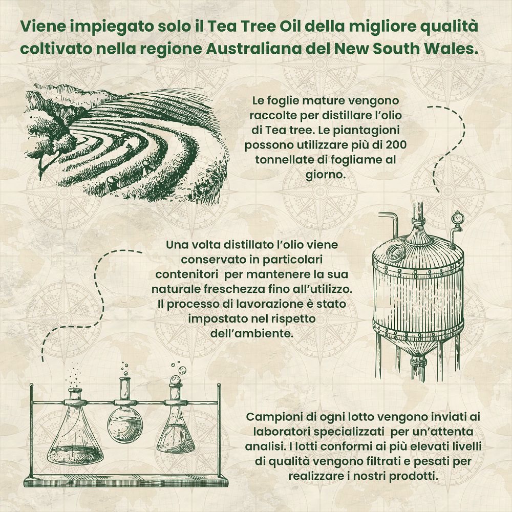 Piantagioni di tea tree e impianto di distillazione. Processo di produzione.