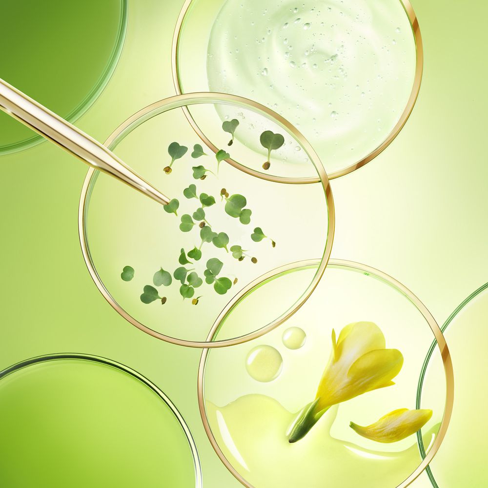 Immagine di laboratorio con piastre di Petri, siero, fiori e foglie. Pipetta.