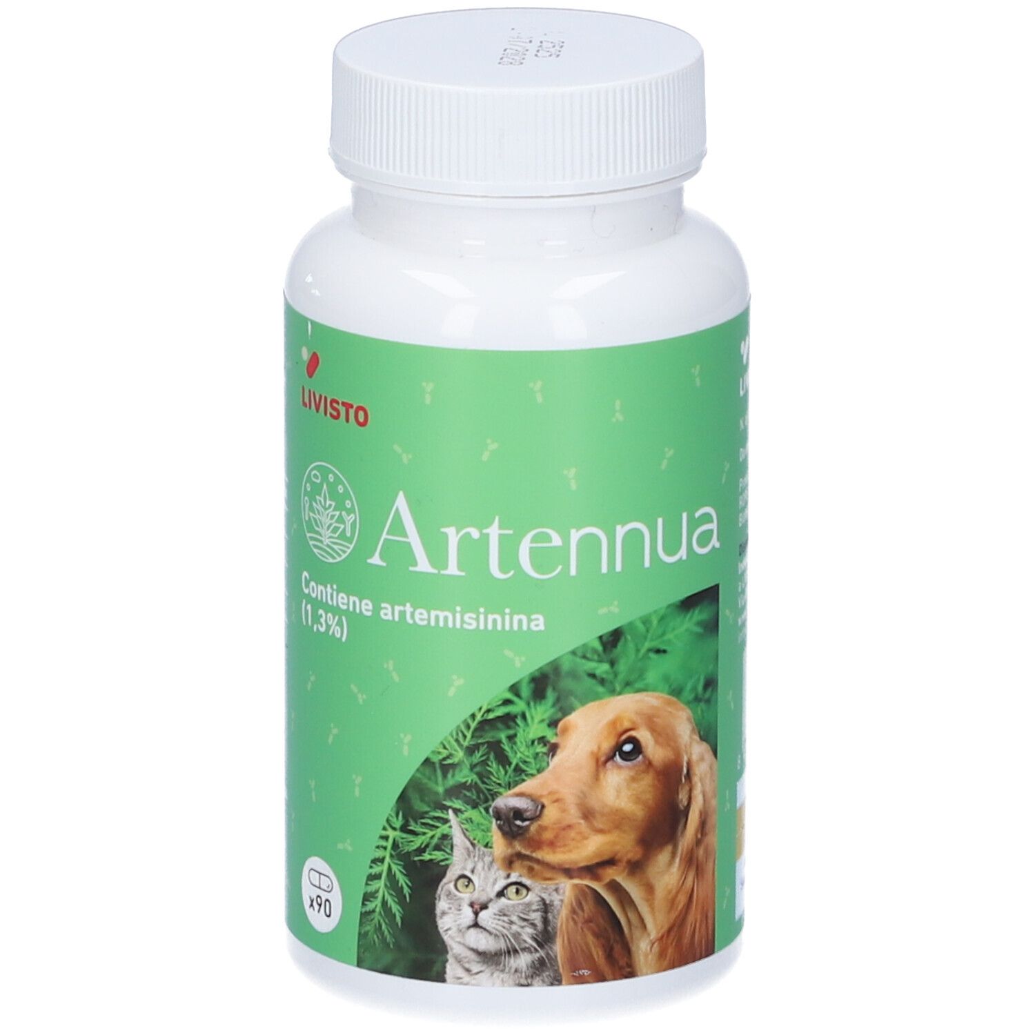 Artennua 90 Capsule