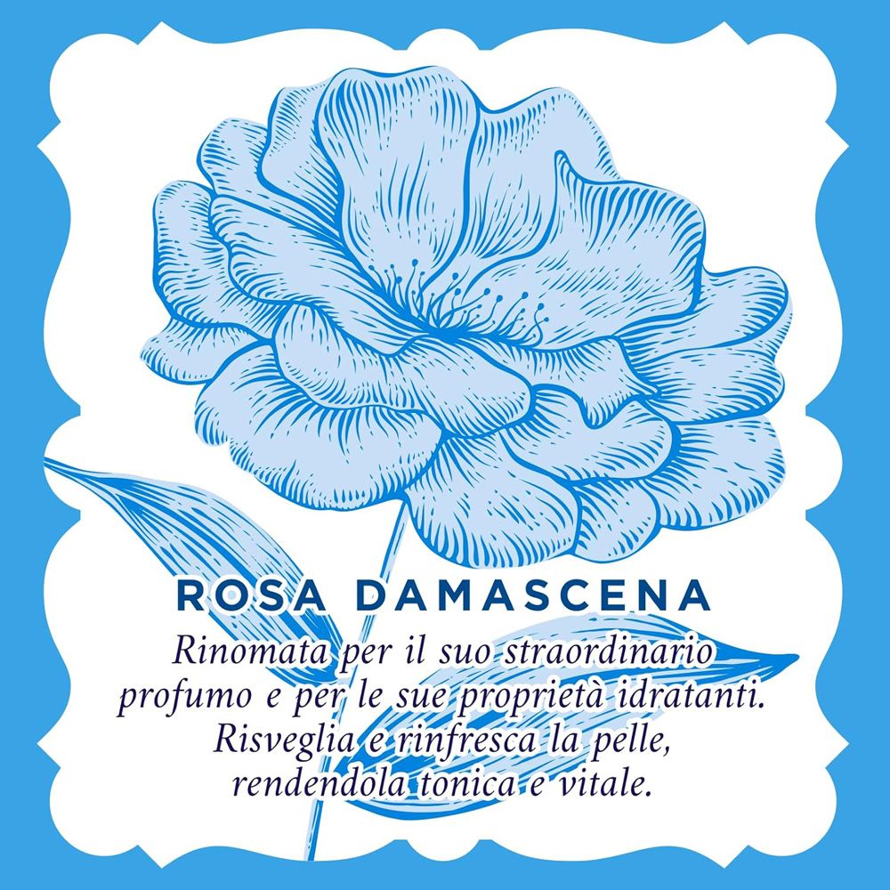 Disegno di una rosa su sfondo azzurro. Testo: Rosa Damascena, proprietà.