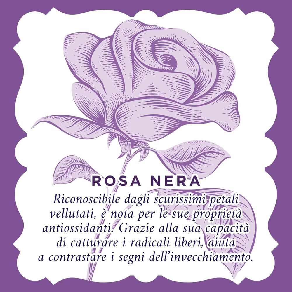 Illustrazione di una rosa nera su sfondo viola. Testo in italiano.