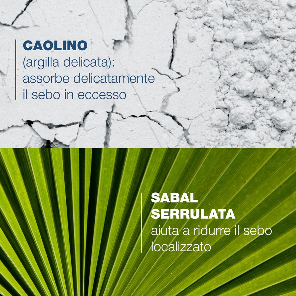 Due blocchi di testo: Caolino (argilla delicata): assorbe delicatamente il sebo in eccesso. Sabal serrulata aiuta a ridurre il sebo localizzato.