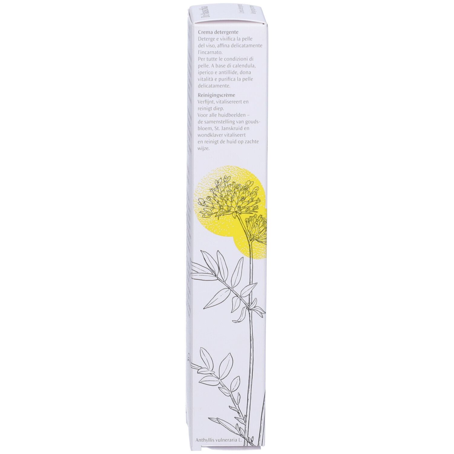 Dr.Hauschka Spring Cleansing Cream