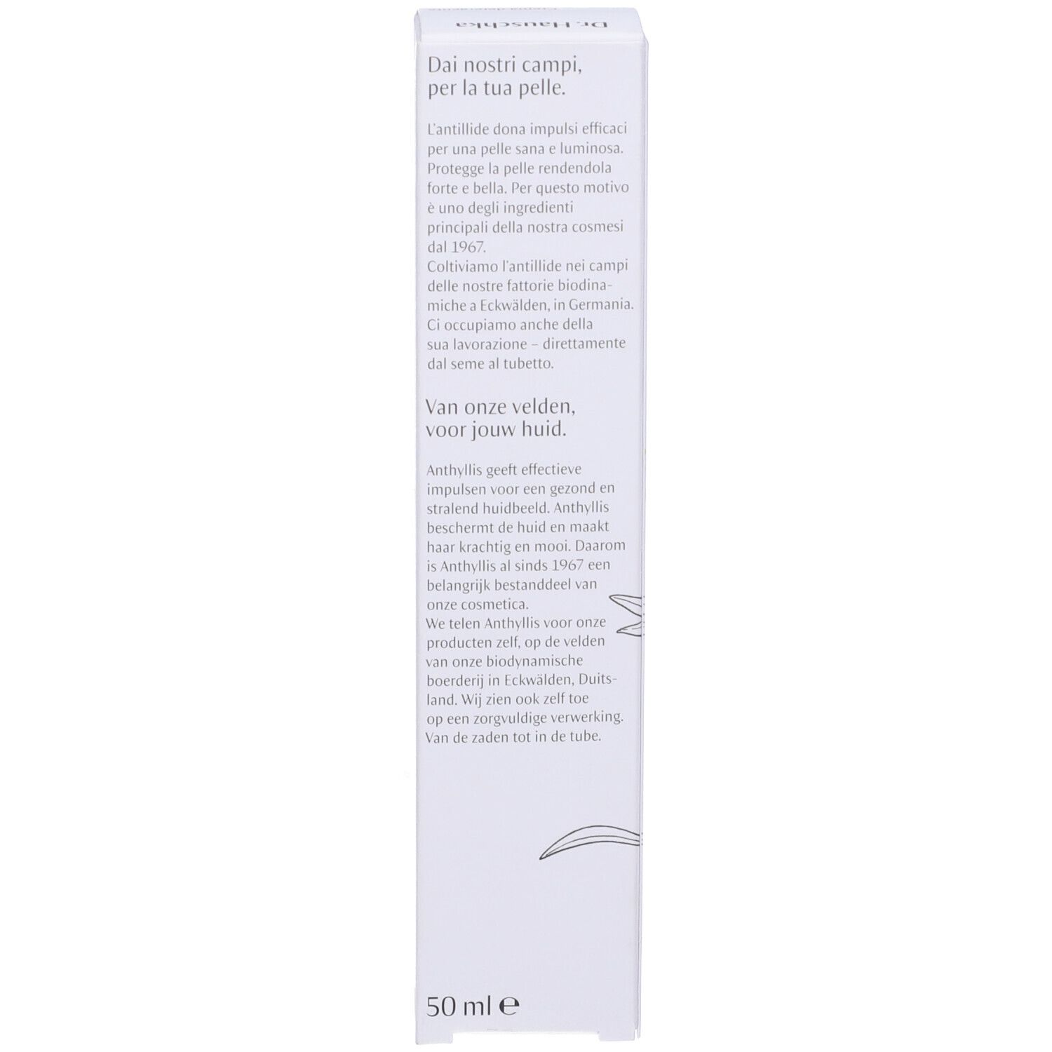 Dr.Hauschka Spring Cleansing Cream