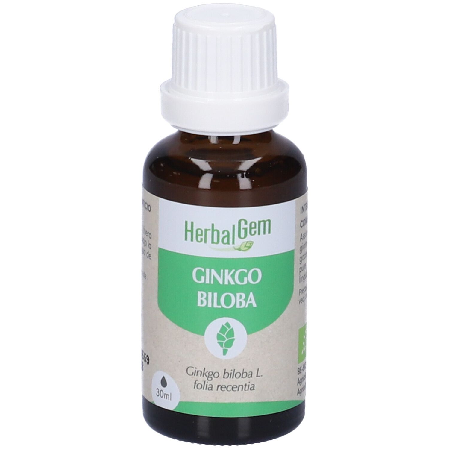 Herbalgem Ginko Biloba Giovani Foglie Concentrato di Gemme Fresche Gocce