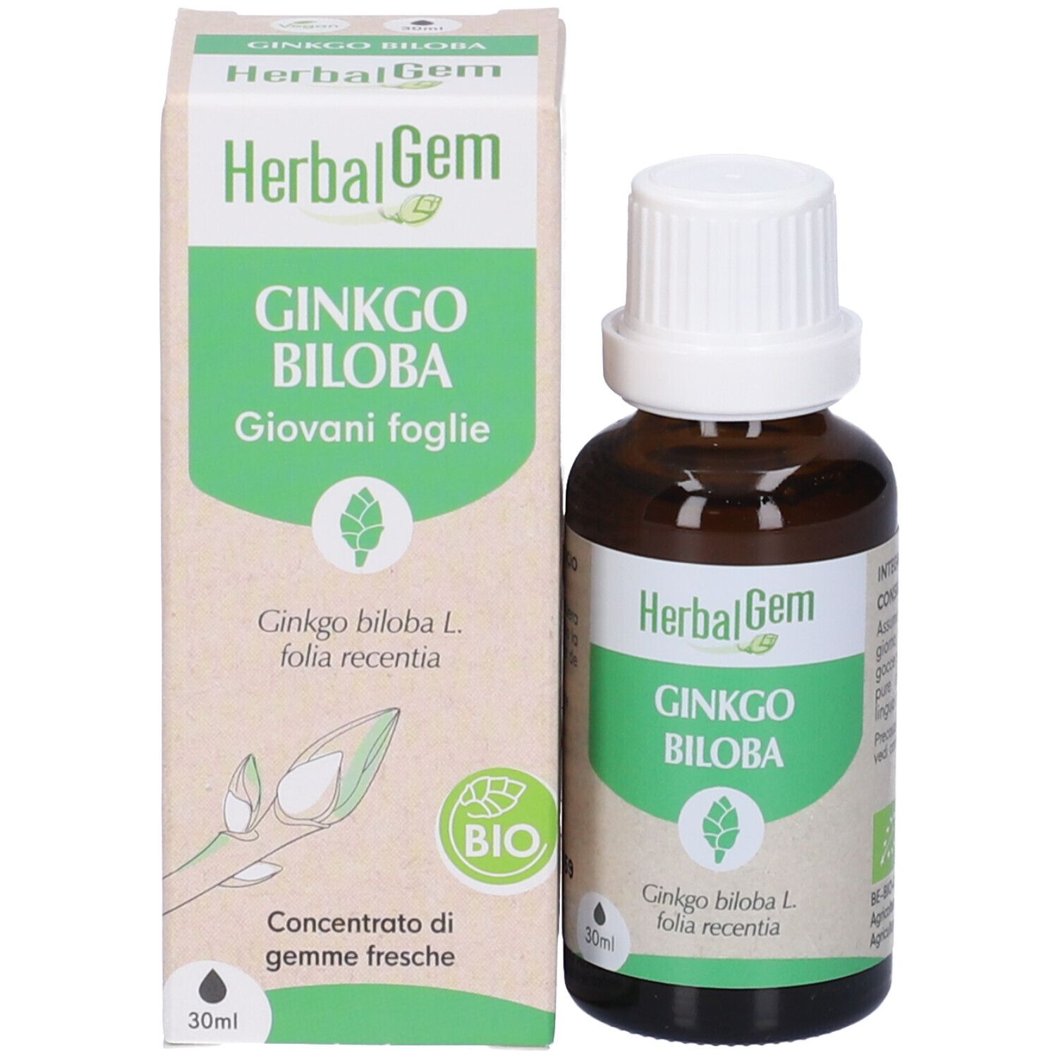 Herbalgem Ginko Biloba Giovani Foglie Concentrato di Gemme Fresche Gocce