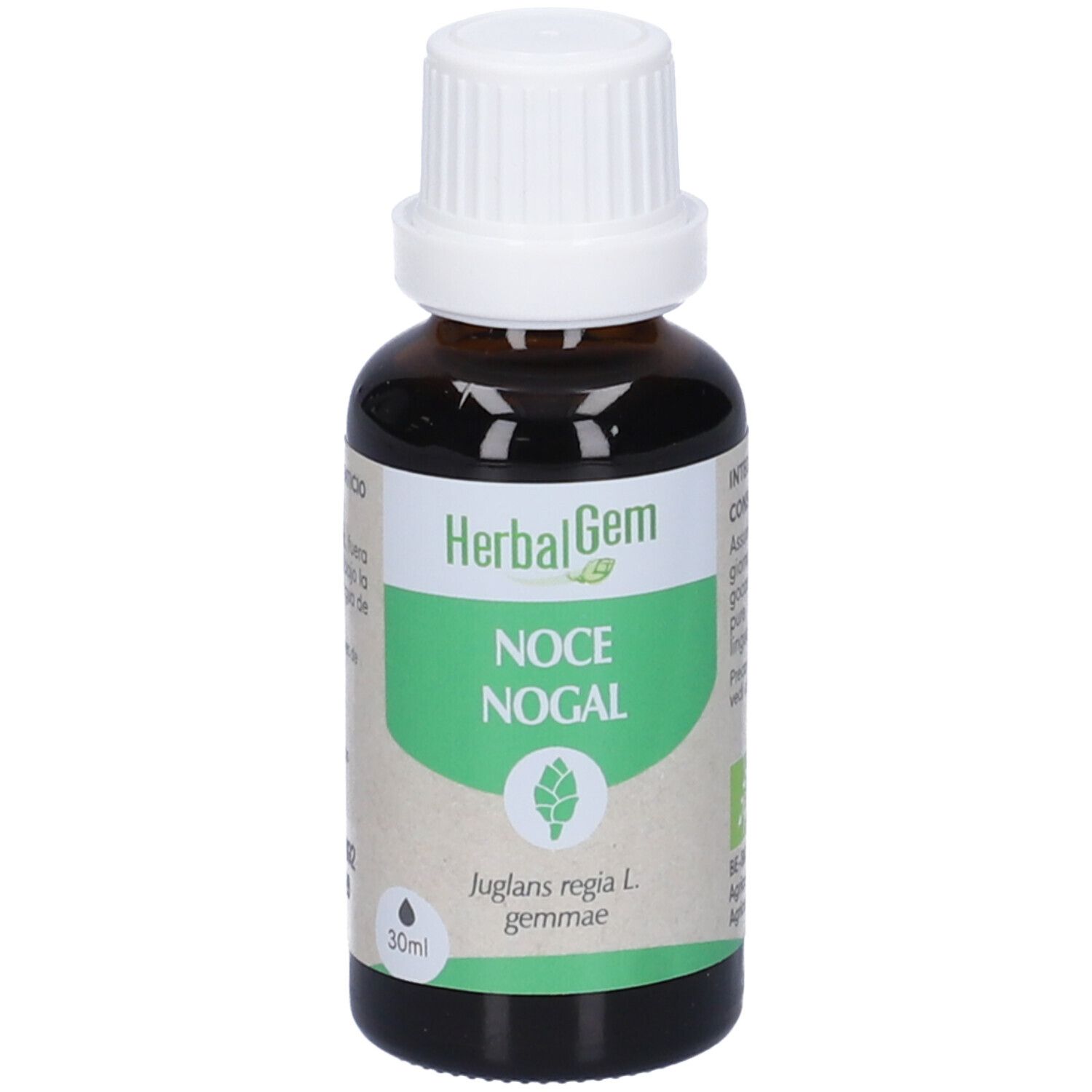 Herbalgem Noce Gemme Concentrato di Gemme Fresche Gocce