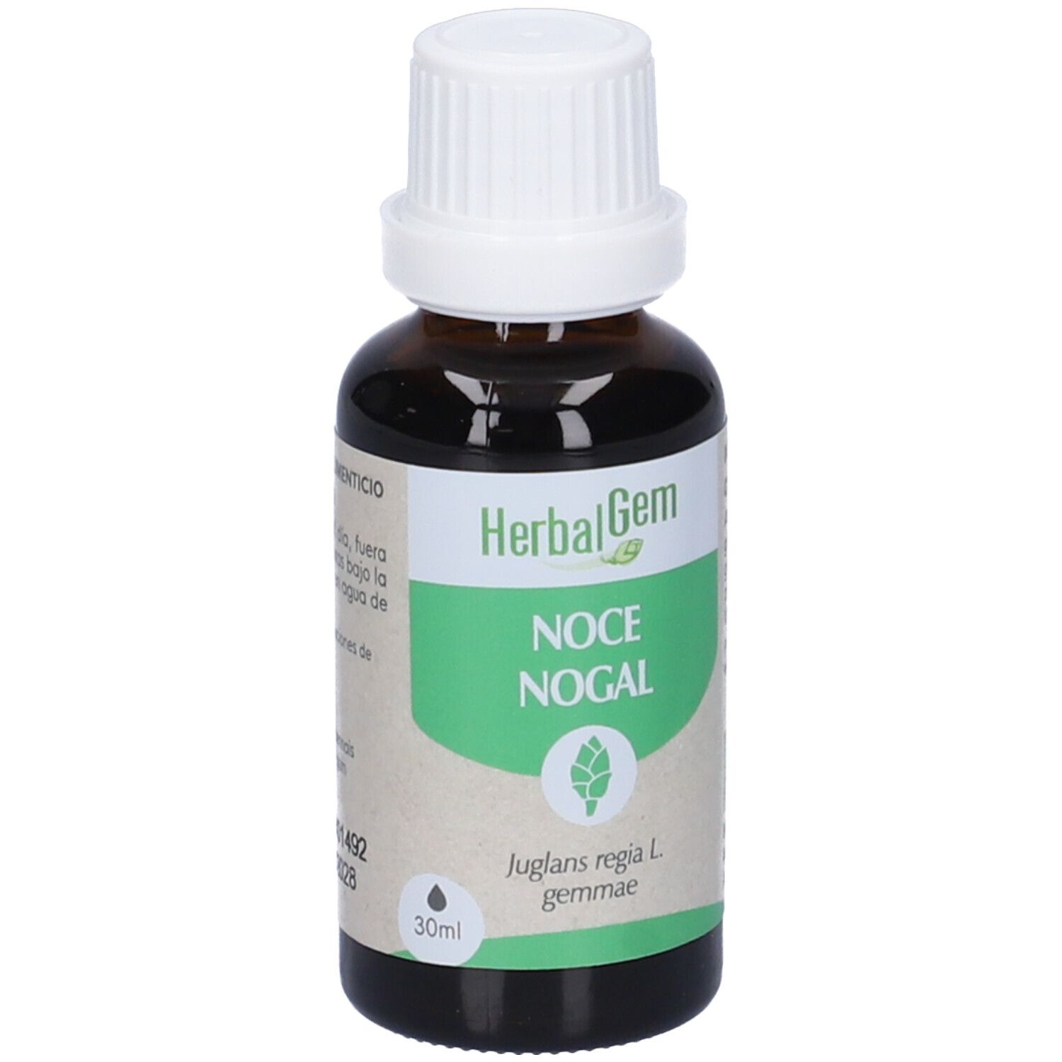 Herbalgem Noce Gemme Concentrato di Gemme Fresche Gocce