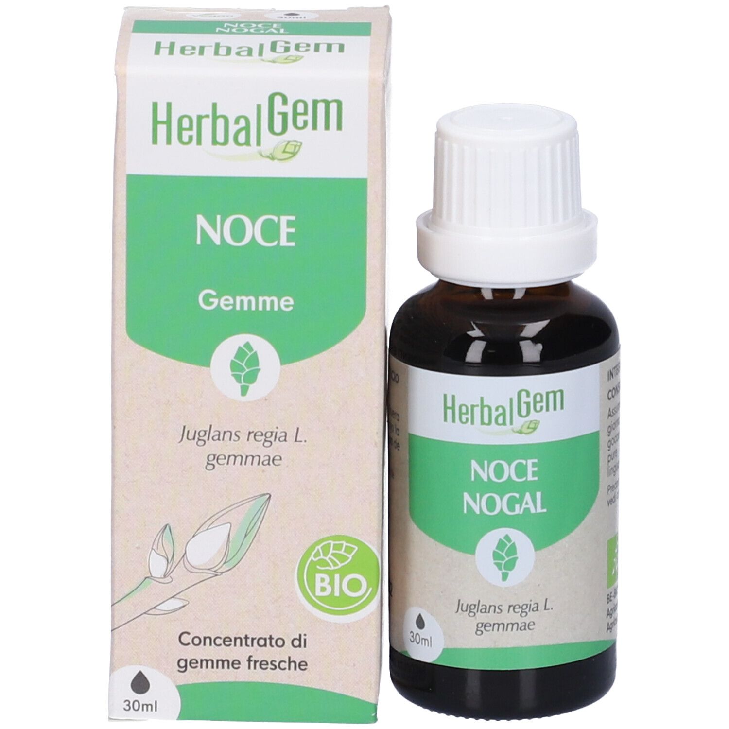 Herbalgem Noce Gemme Concentrato di Gemme Fresche Gocce