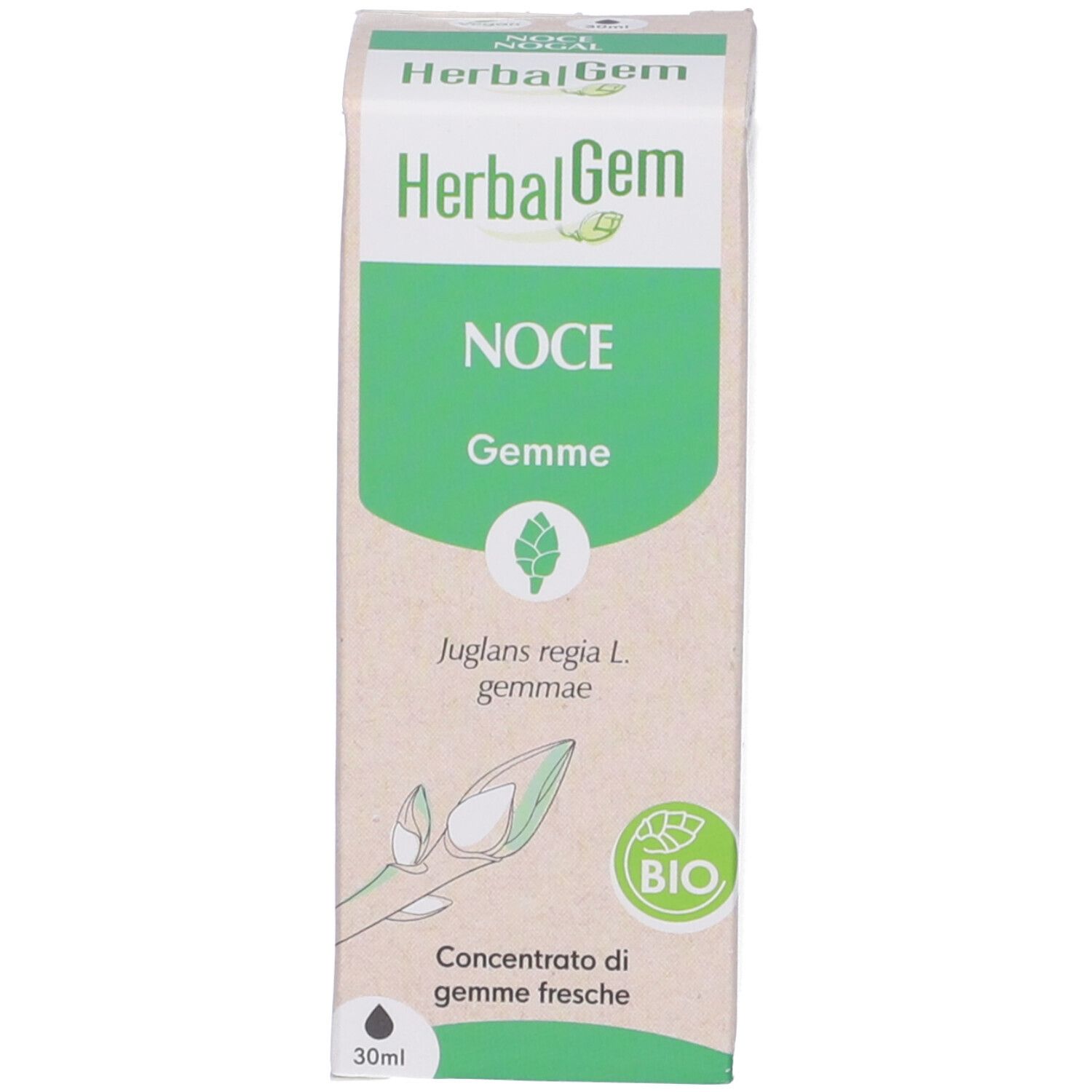 Herbalgem Noce Gemme Concentrato di Gemme Fresche Gocce