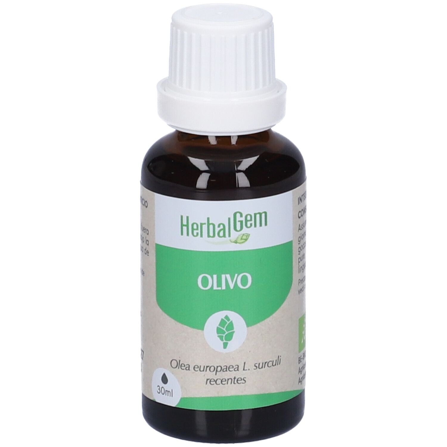 Herbalgem Olivo Giovani Getti Concentrato di Gemme Fresche Gocce