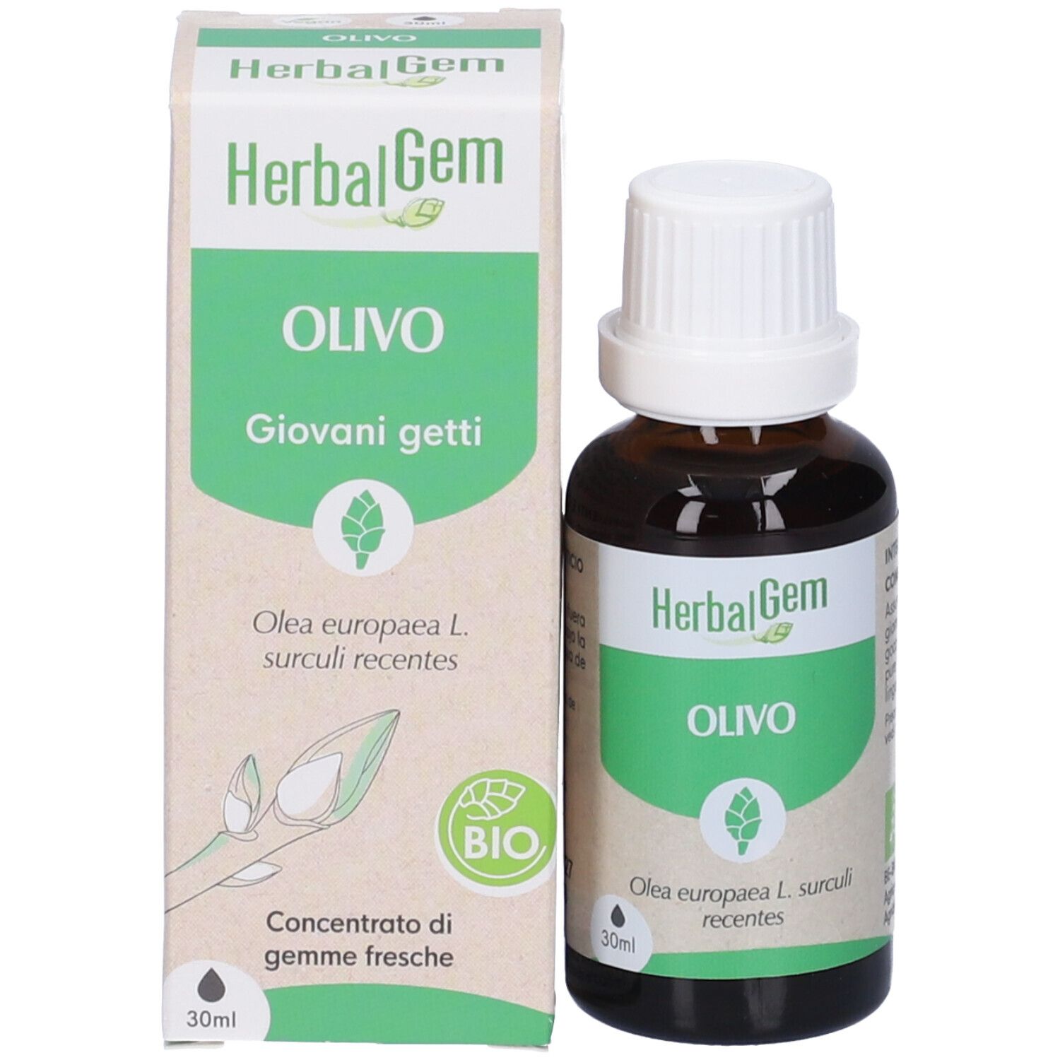 Herbalgem Olivo Giovani Getti Concentrato di Gemme Fresche Gocce