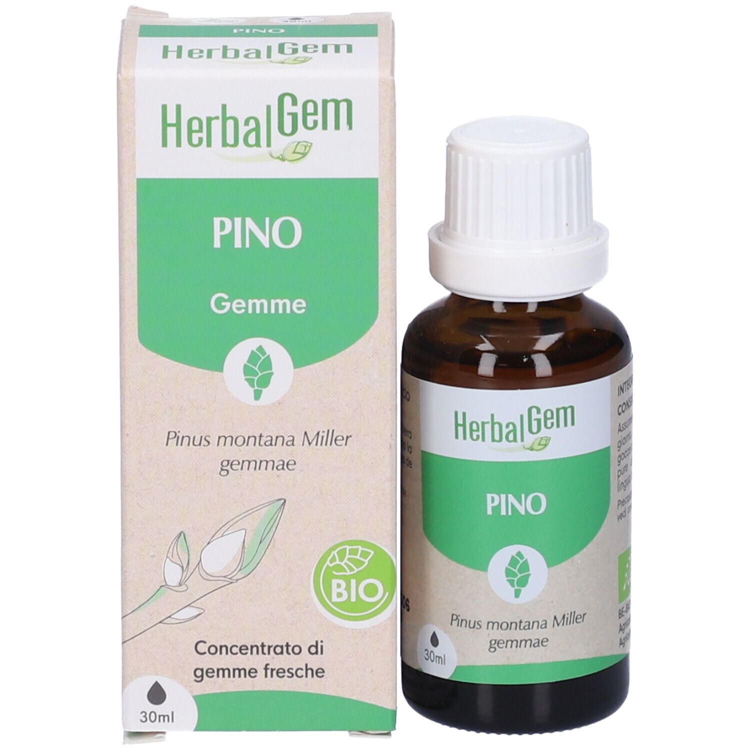 Herbalgem Pino Gemme Concentrato di Gemme Fresche Gocce